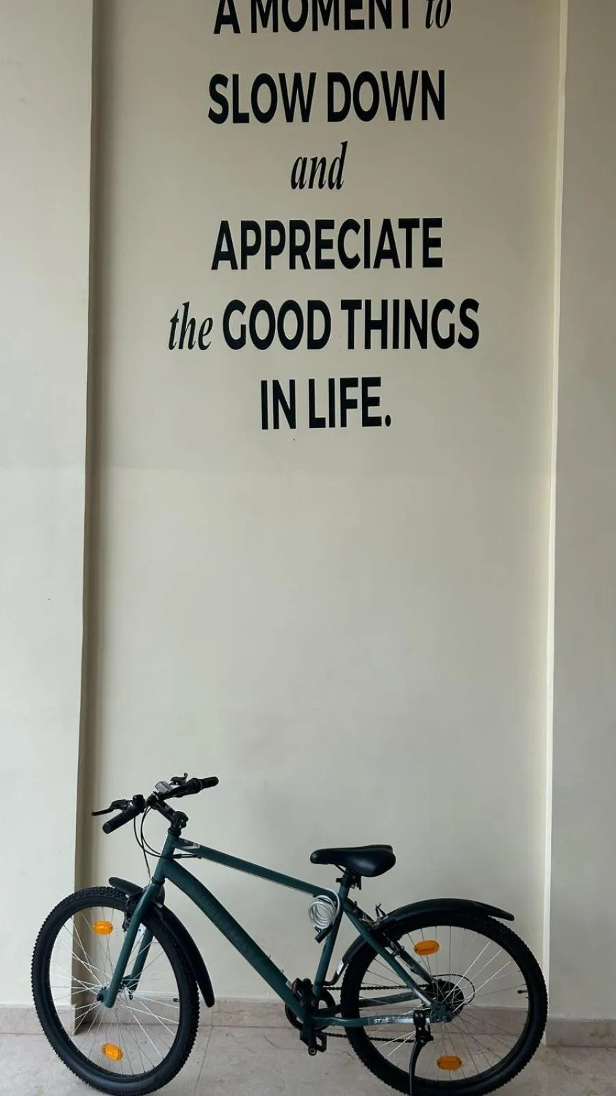 Cycling in Minimalist Panjim