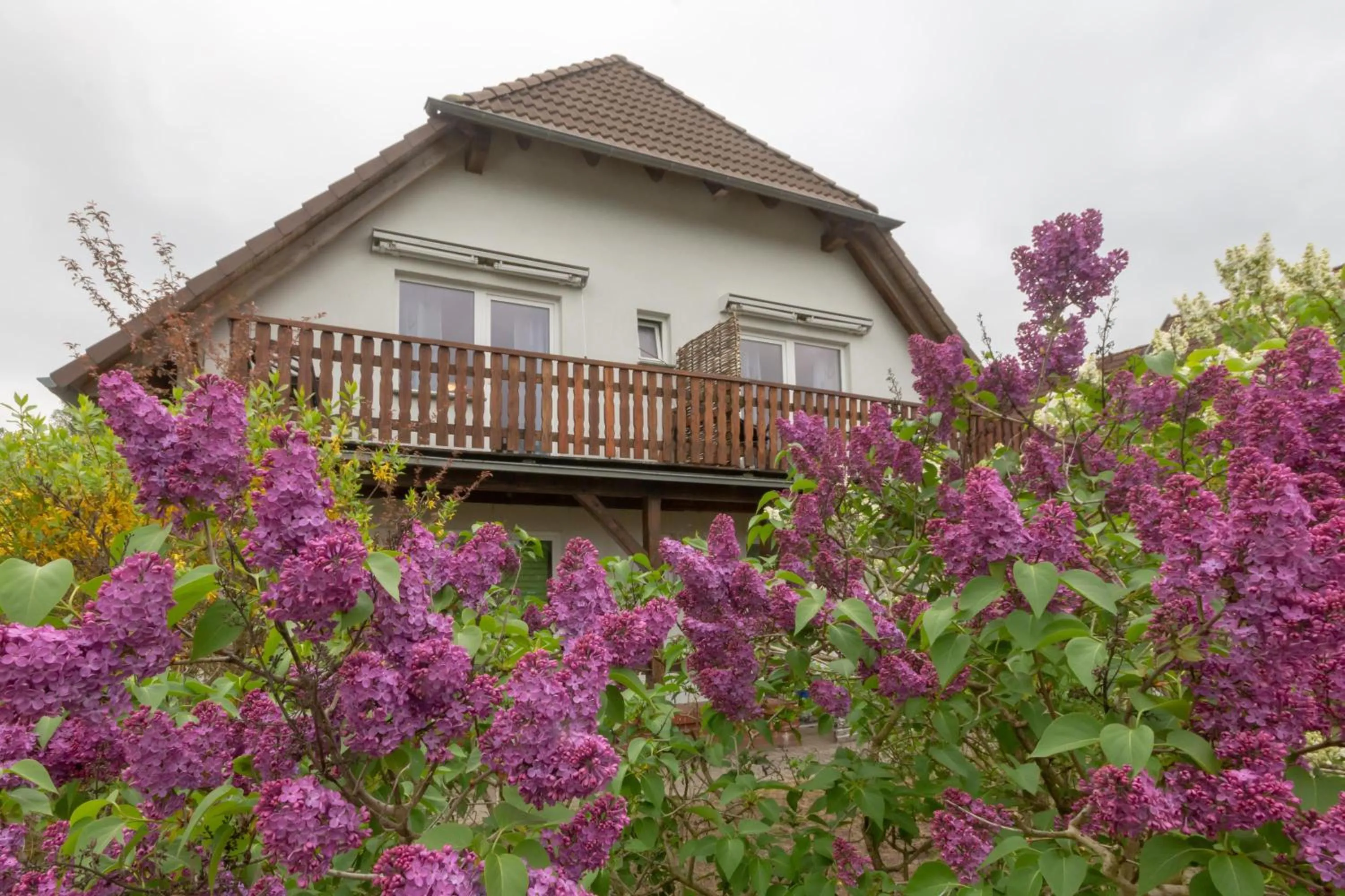 Strandhaus Malchow
