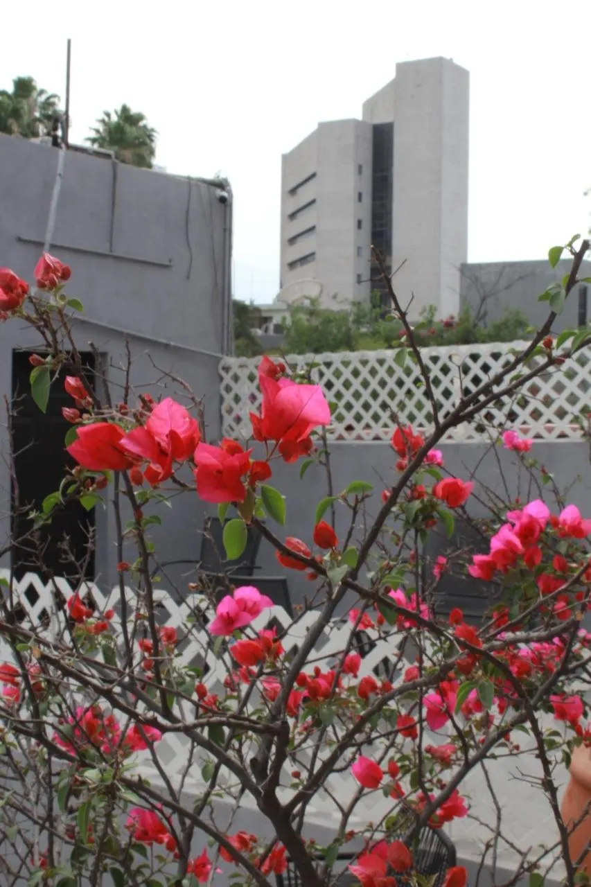 Patio in Adhoc Boutique Barrio Antiguo