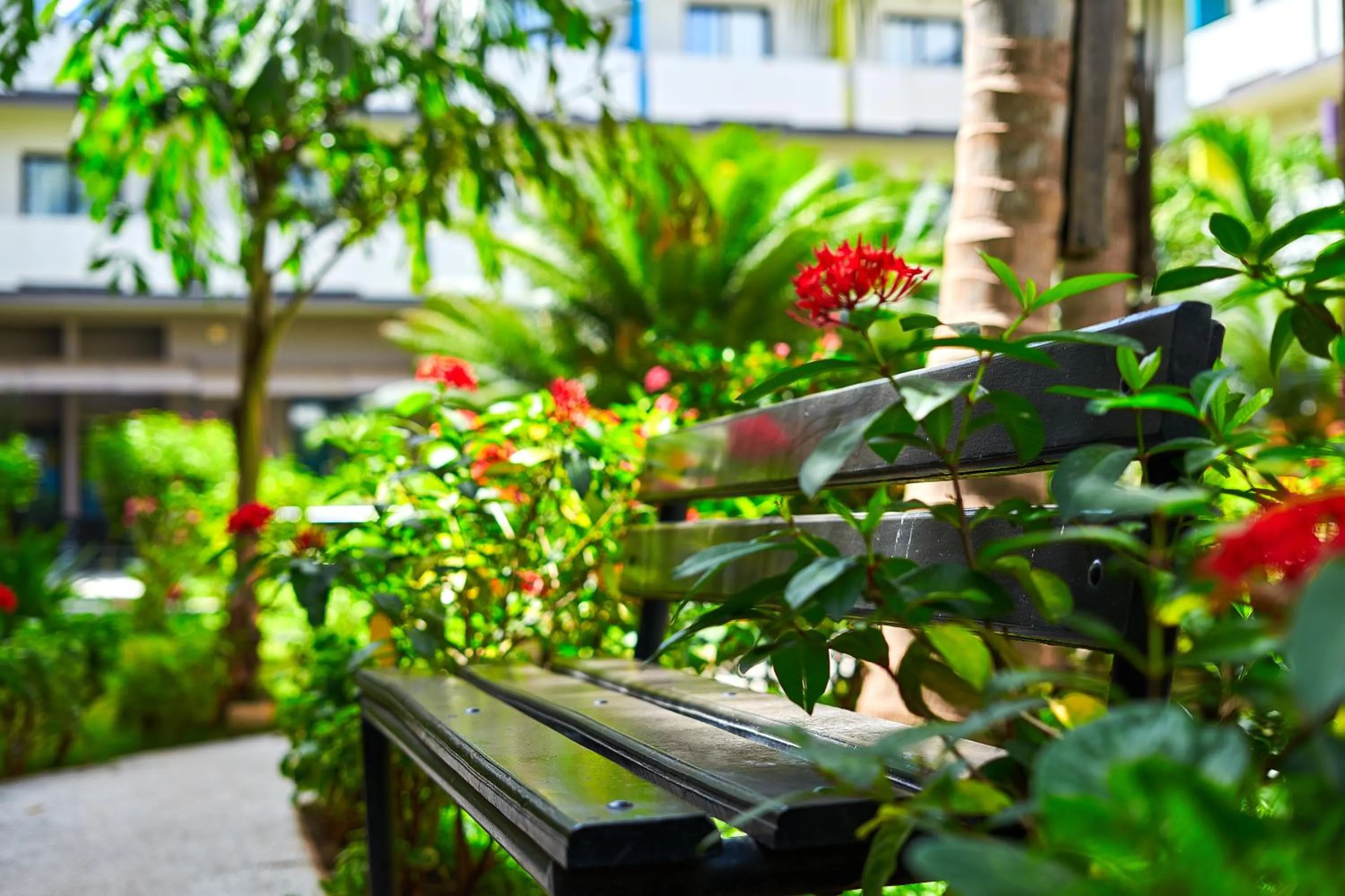 Day in ONOMO Hotel Bamako