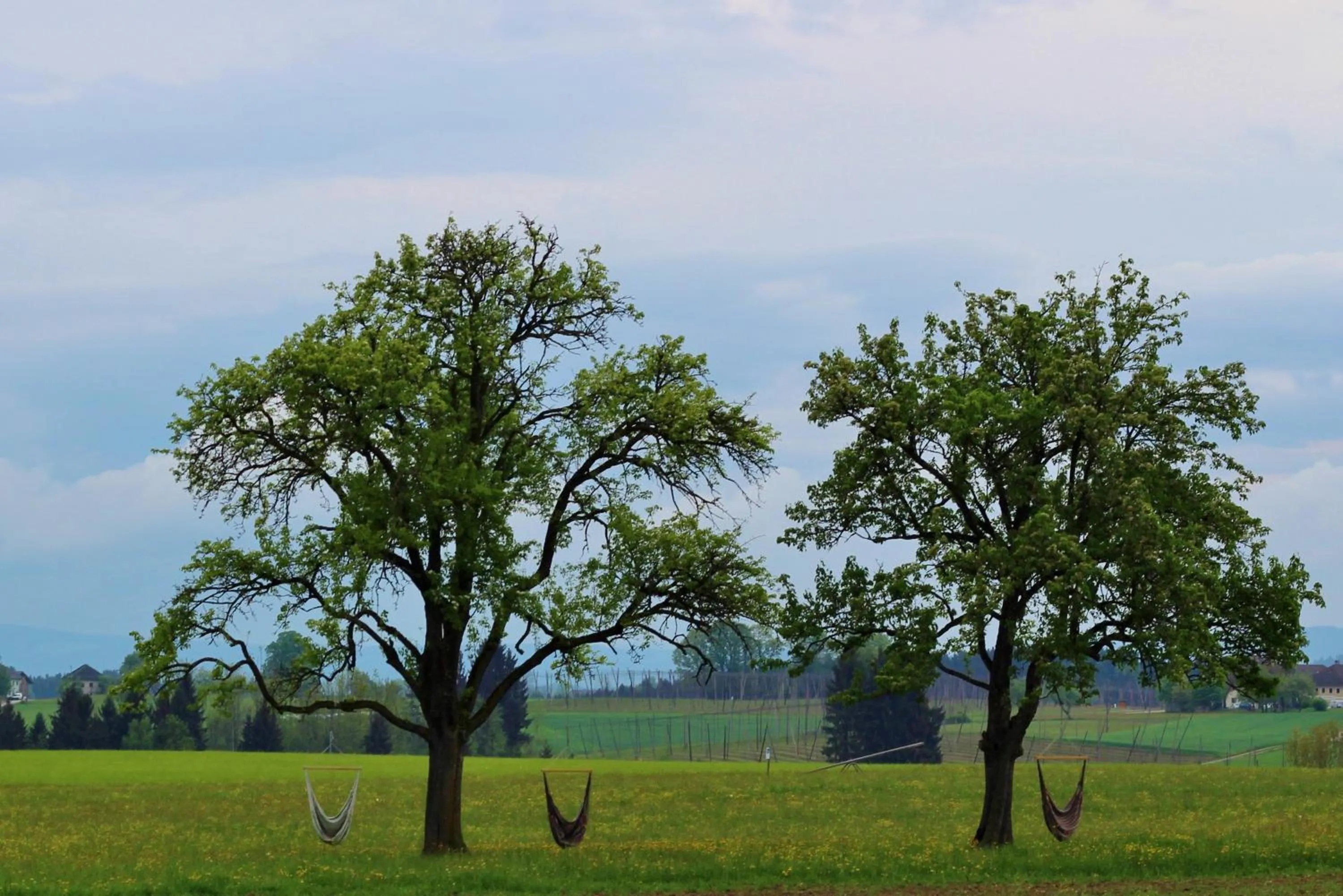 Garden view in Langs Wirtshaus