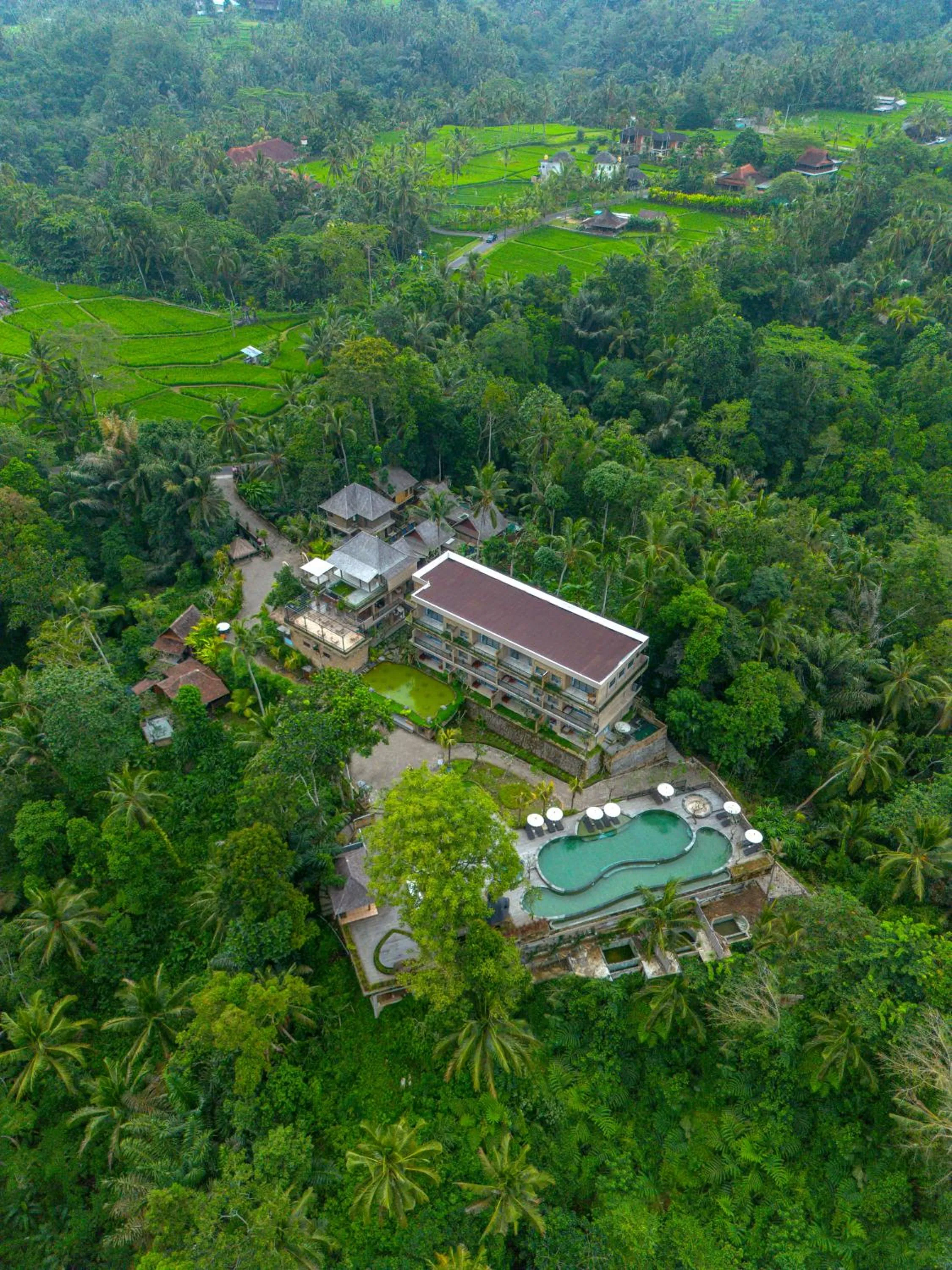 Swimming pool in Hoshi Jungle Resort by Dhananjaya Hospitality