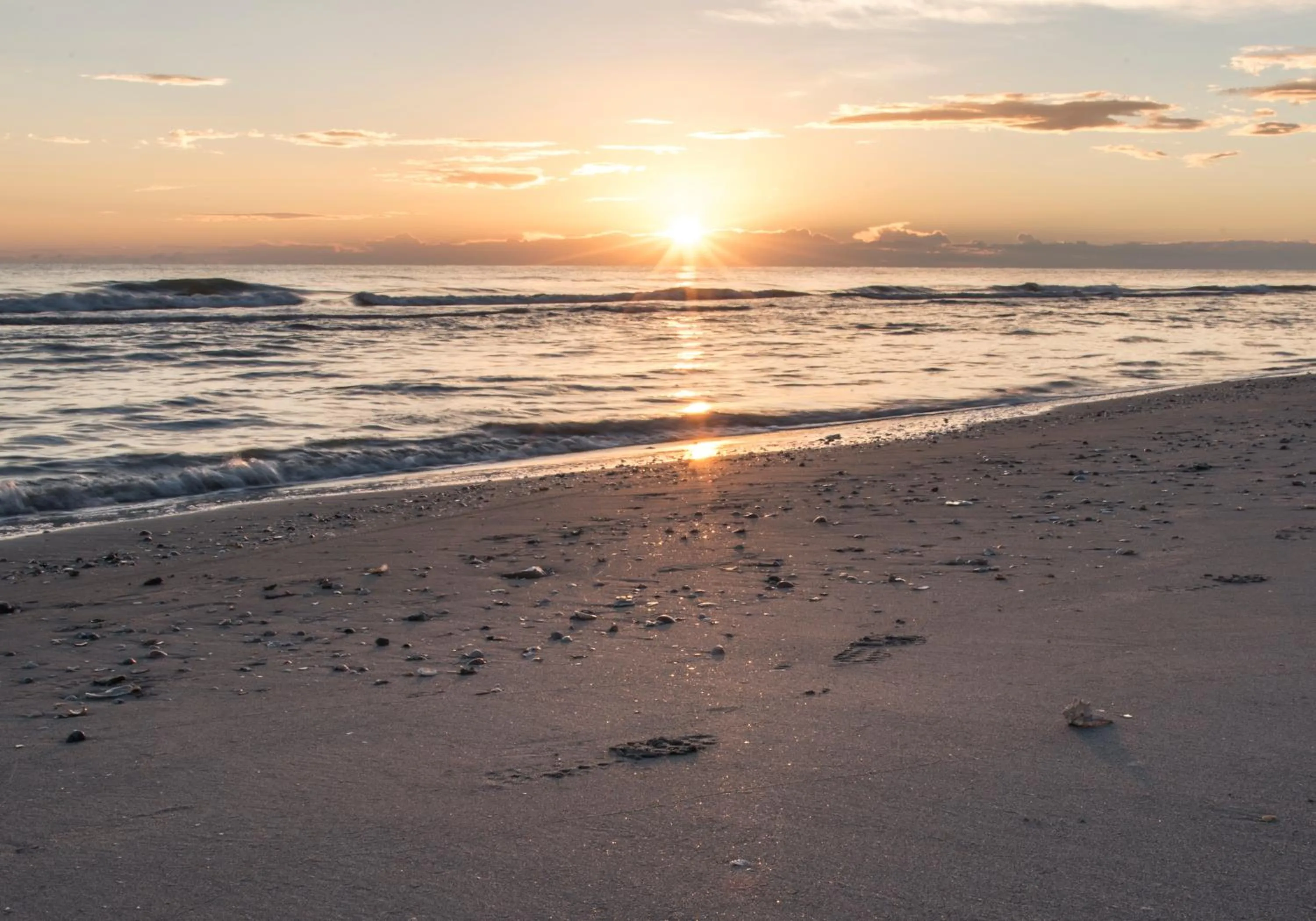 Beach in Hotel Vela D'Oro