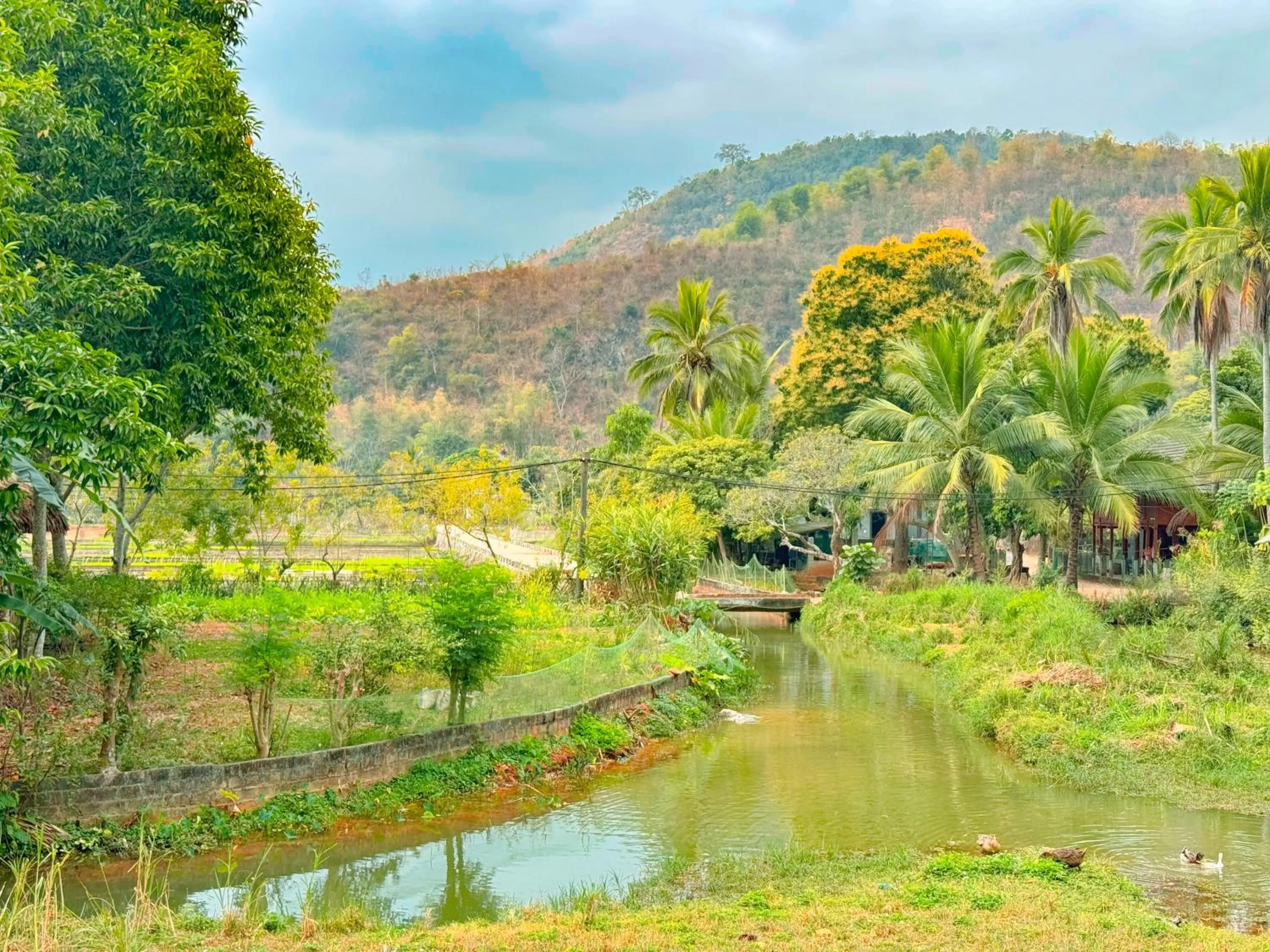 Natural landscape in Mai Chau Villas
