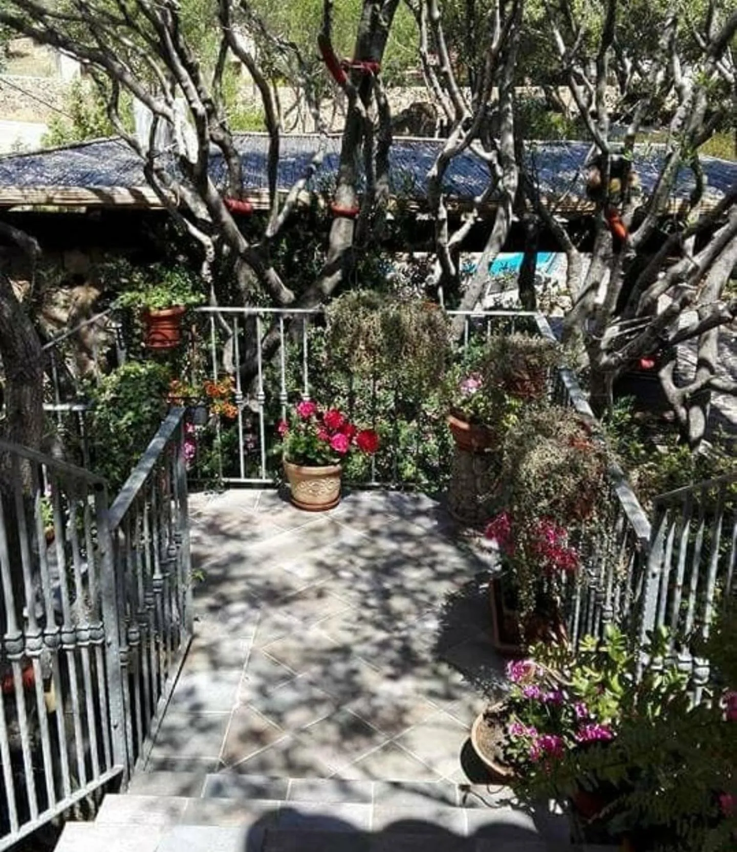 Garden in Antica Isola