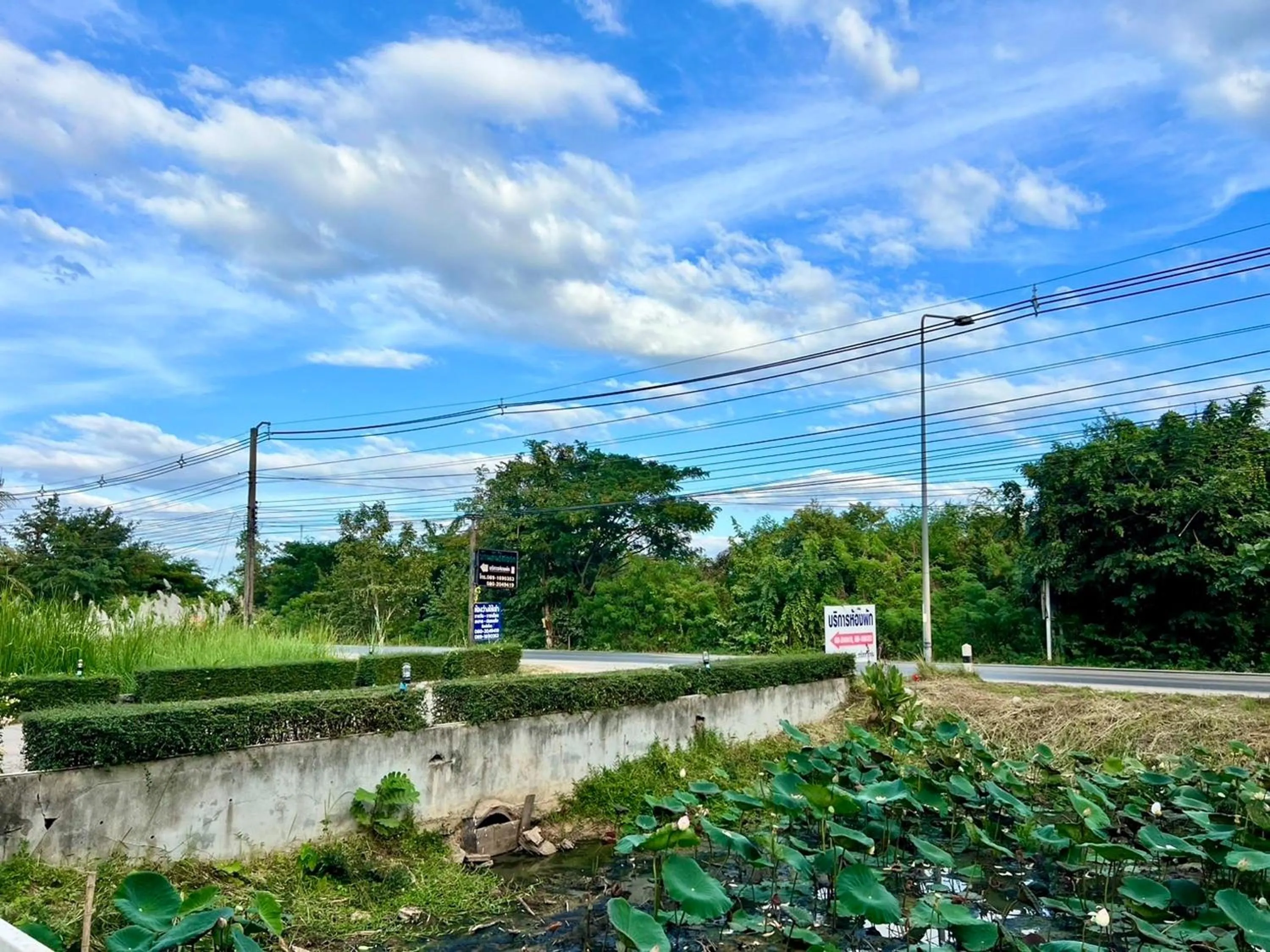 Natural landscape in Ban Ton Resort