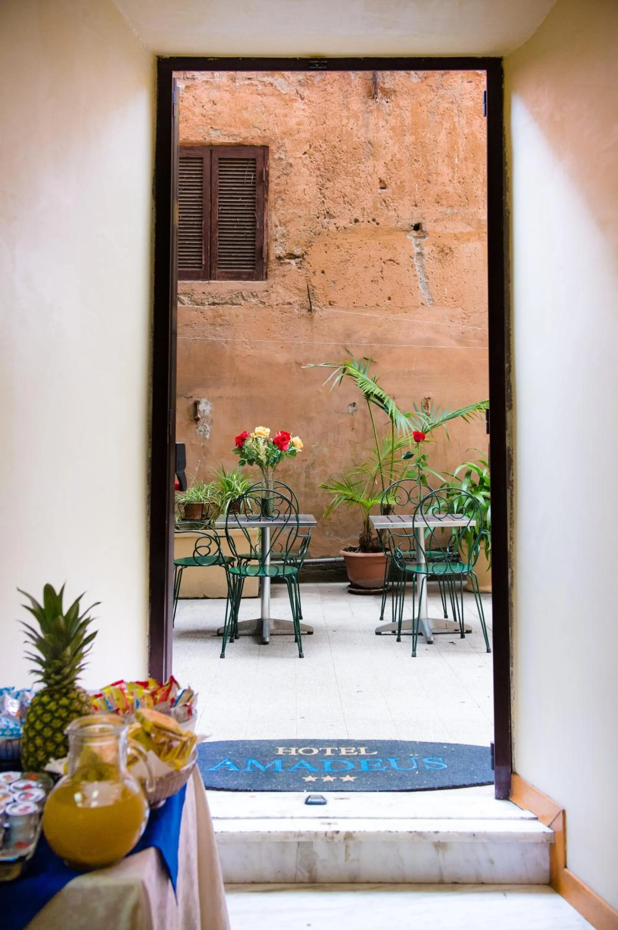 Balcony/Terrace, Patio/Outdoor Area in Hotel Amadeus