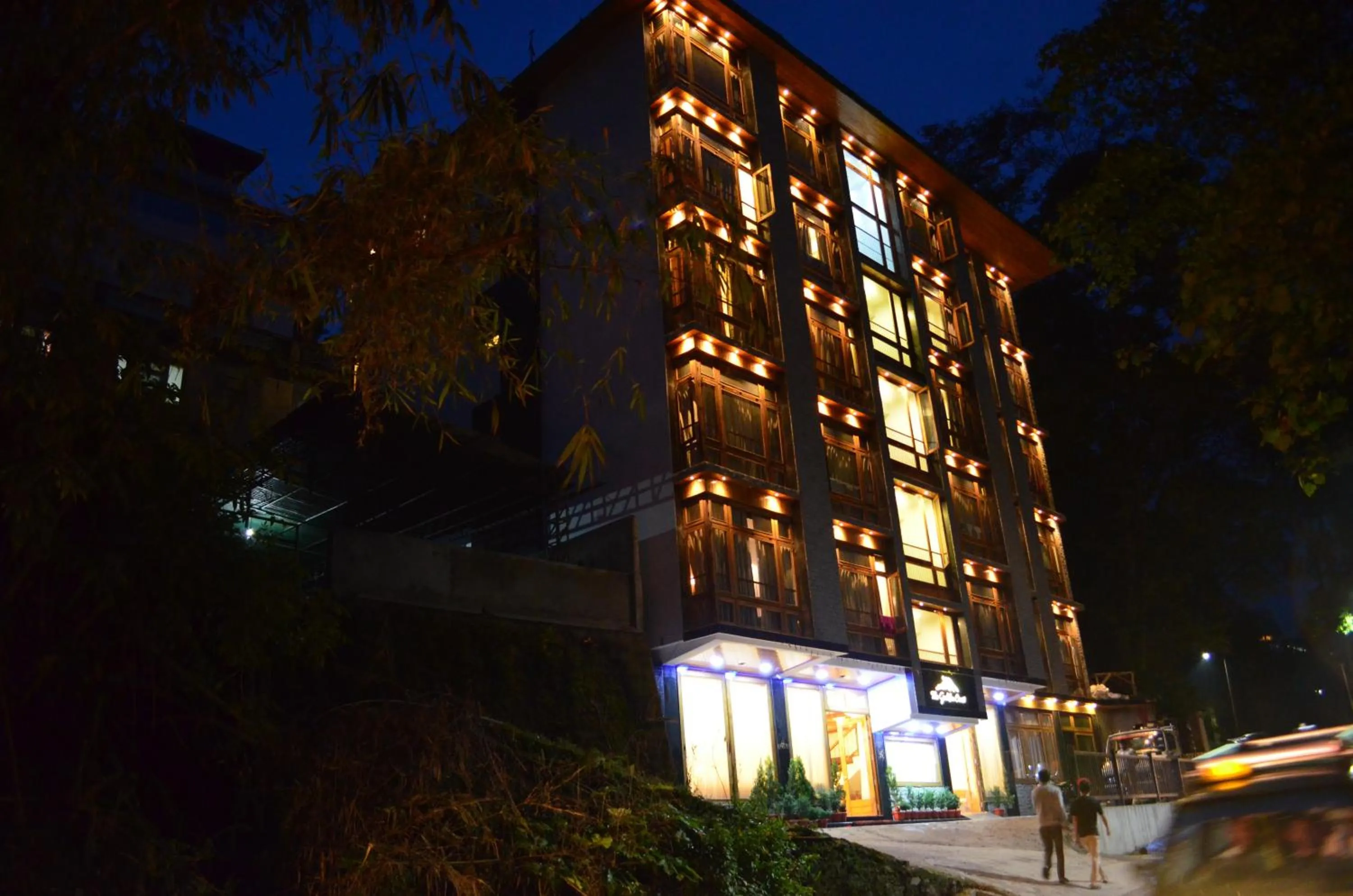 Bird's eye view in The Golden Crest