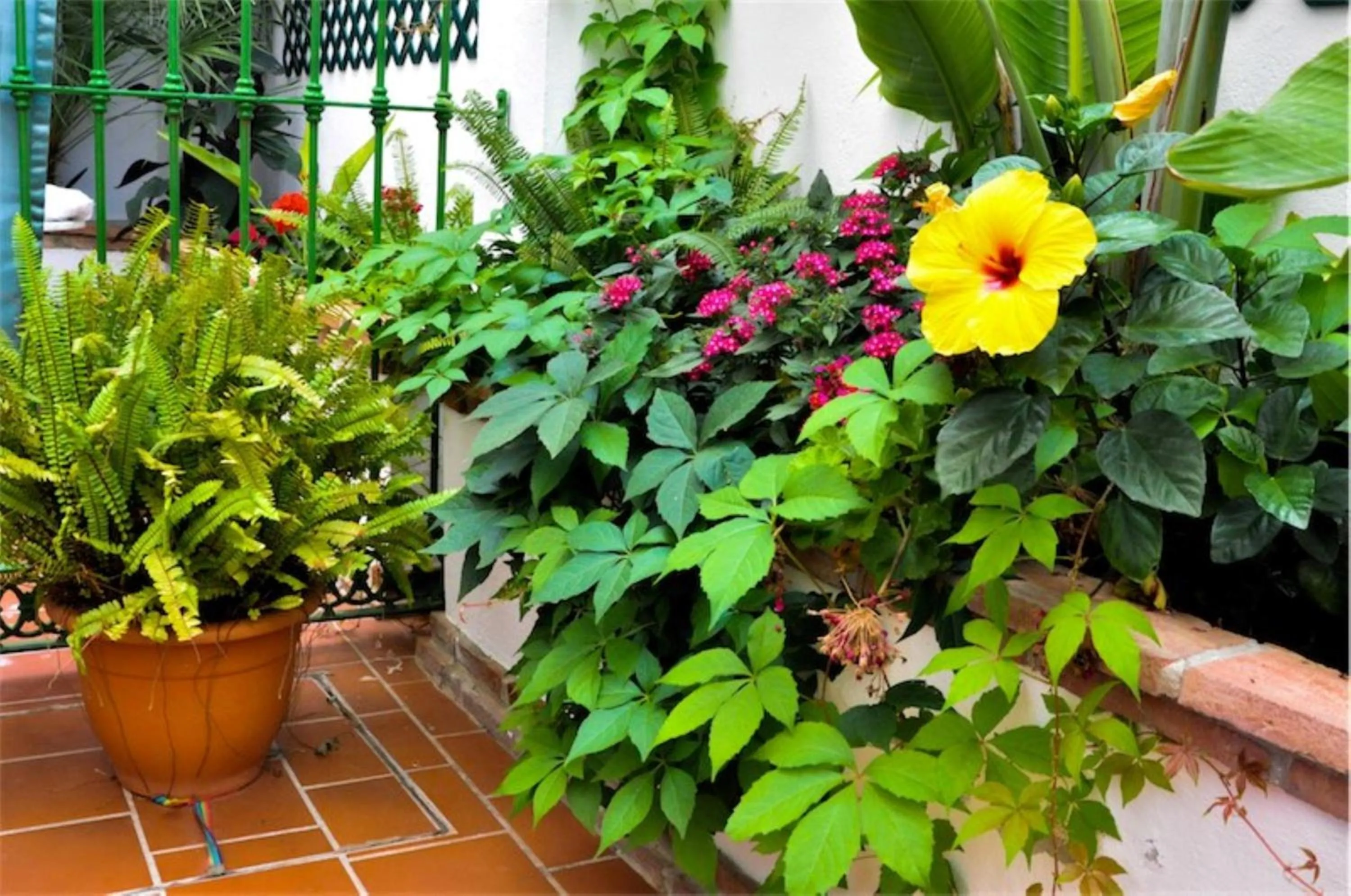 Balcony/Terrace in Hotel Central Boutique