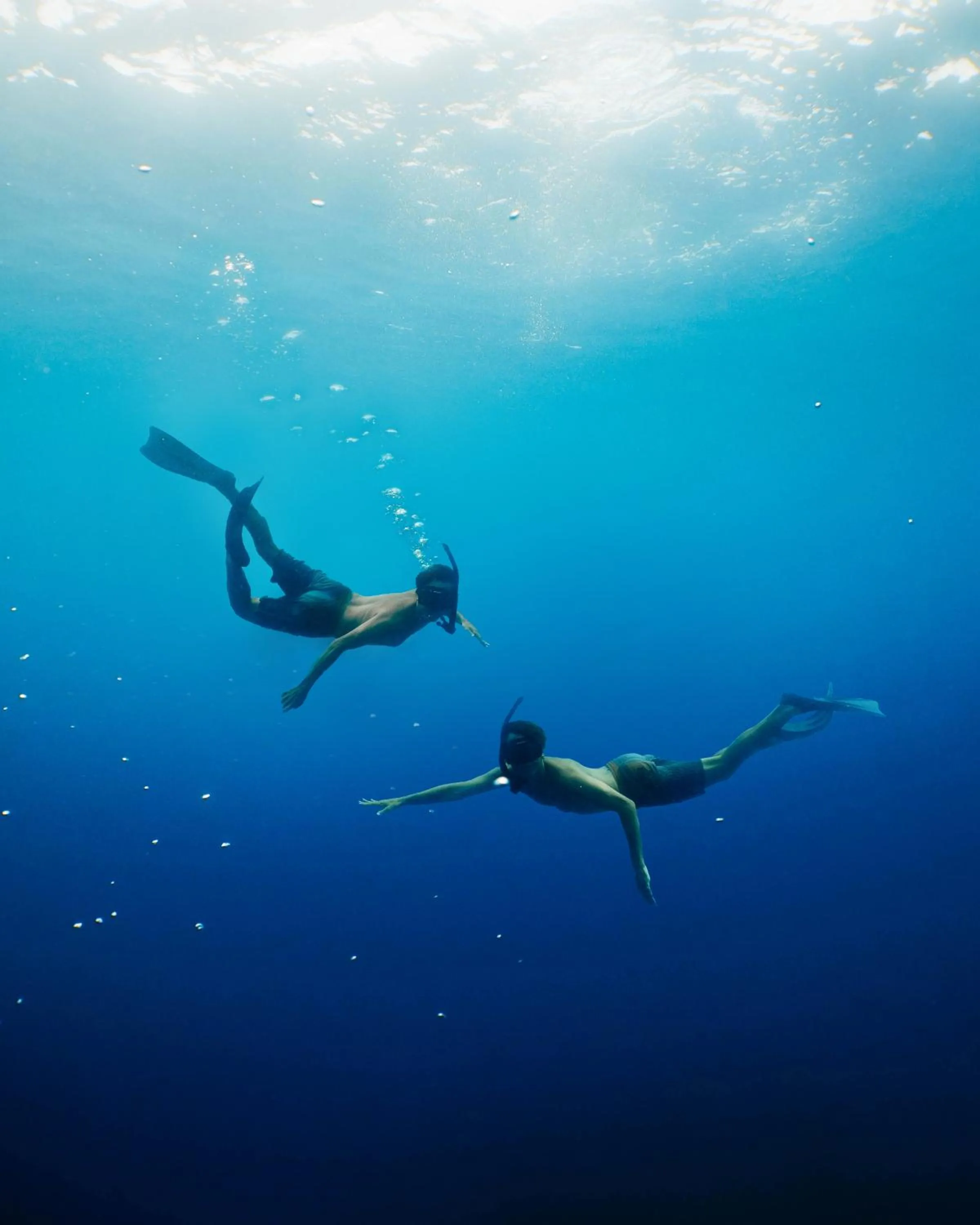 Snorkeling in Isla Corona