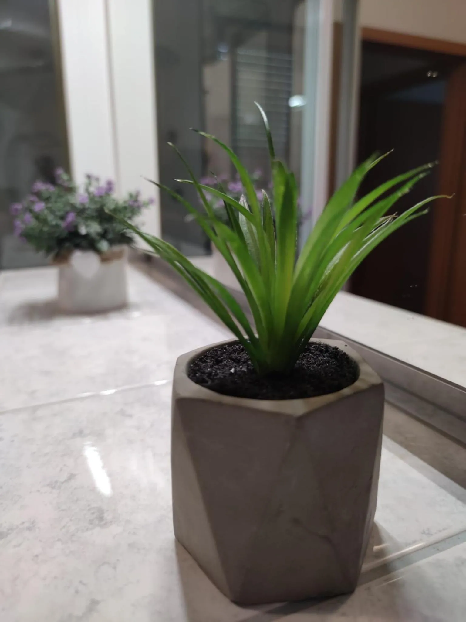 Apartment Sve u 5 minuta