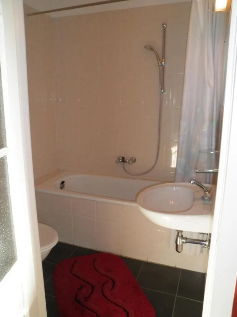 Shower in Apartment Descamps