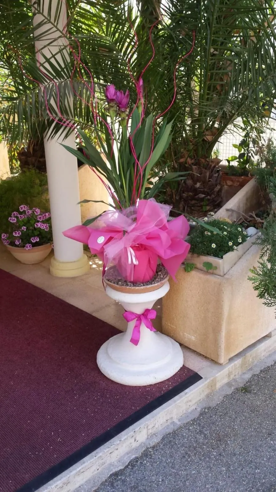 Floor plan in Hotel Tulipe Nazionale