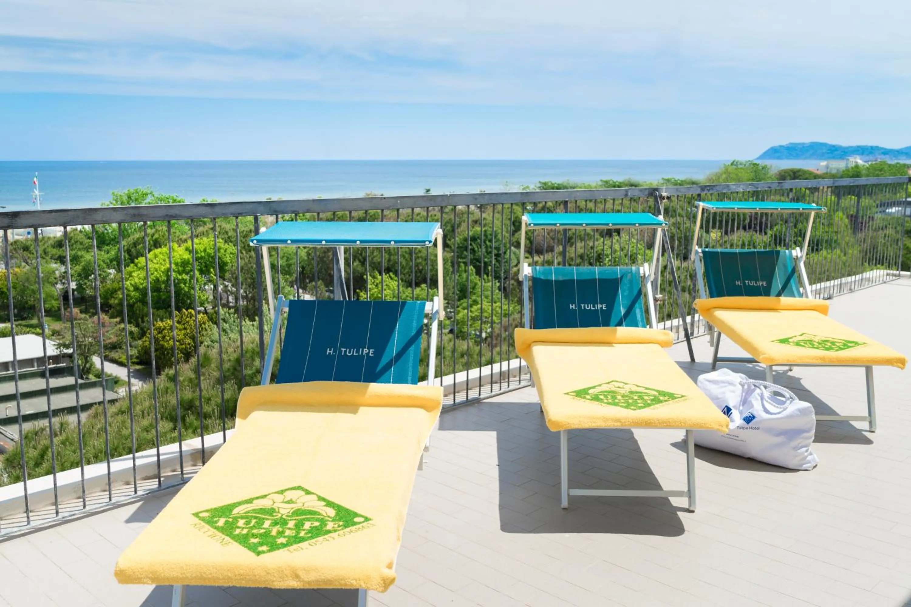 Balcony/Terrace in Hotel Tulipe Nazionale