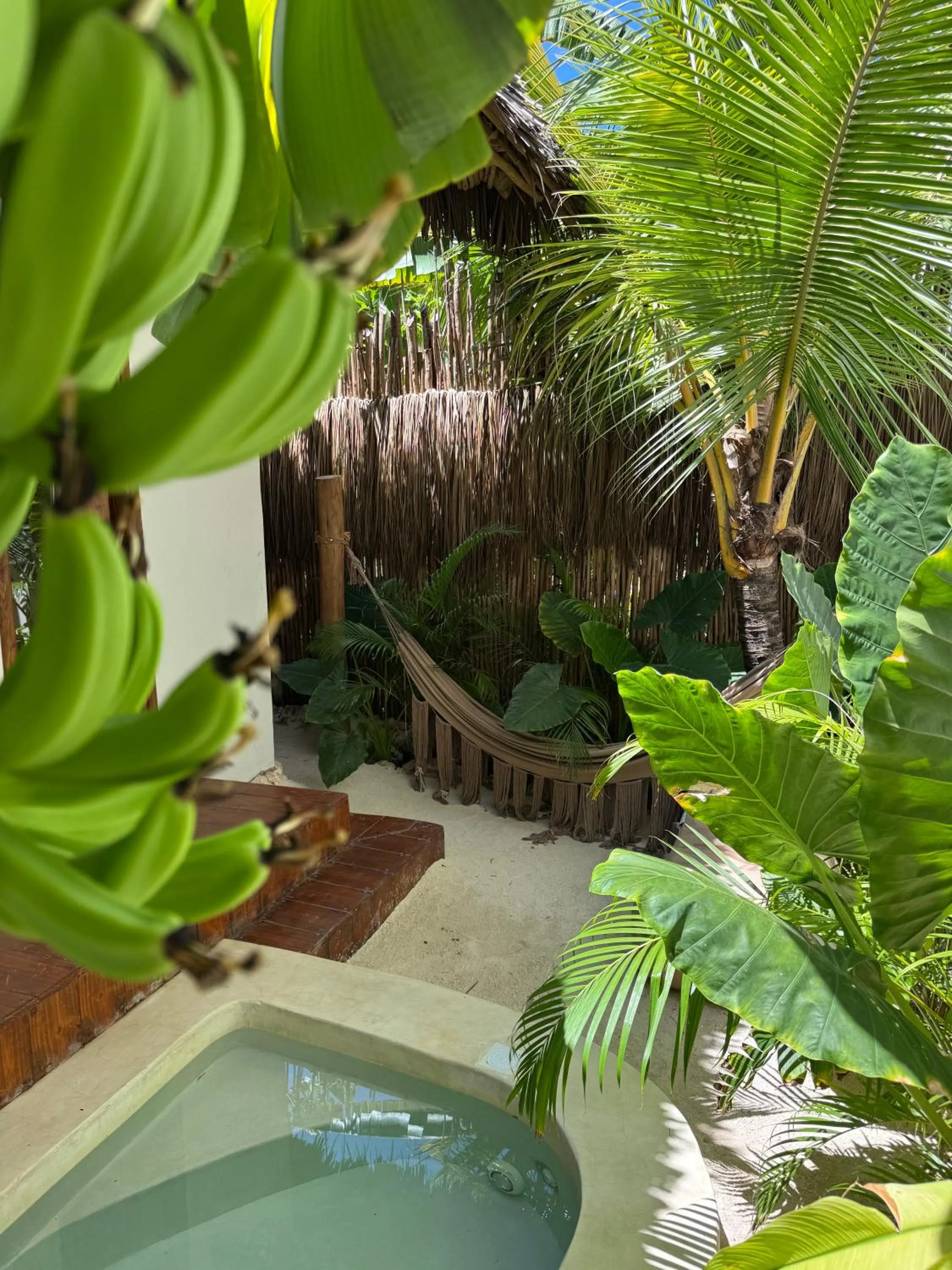 Garden in Kai Zanzibar Hotel and Spa