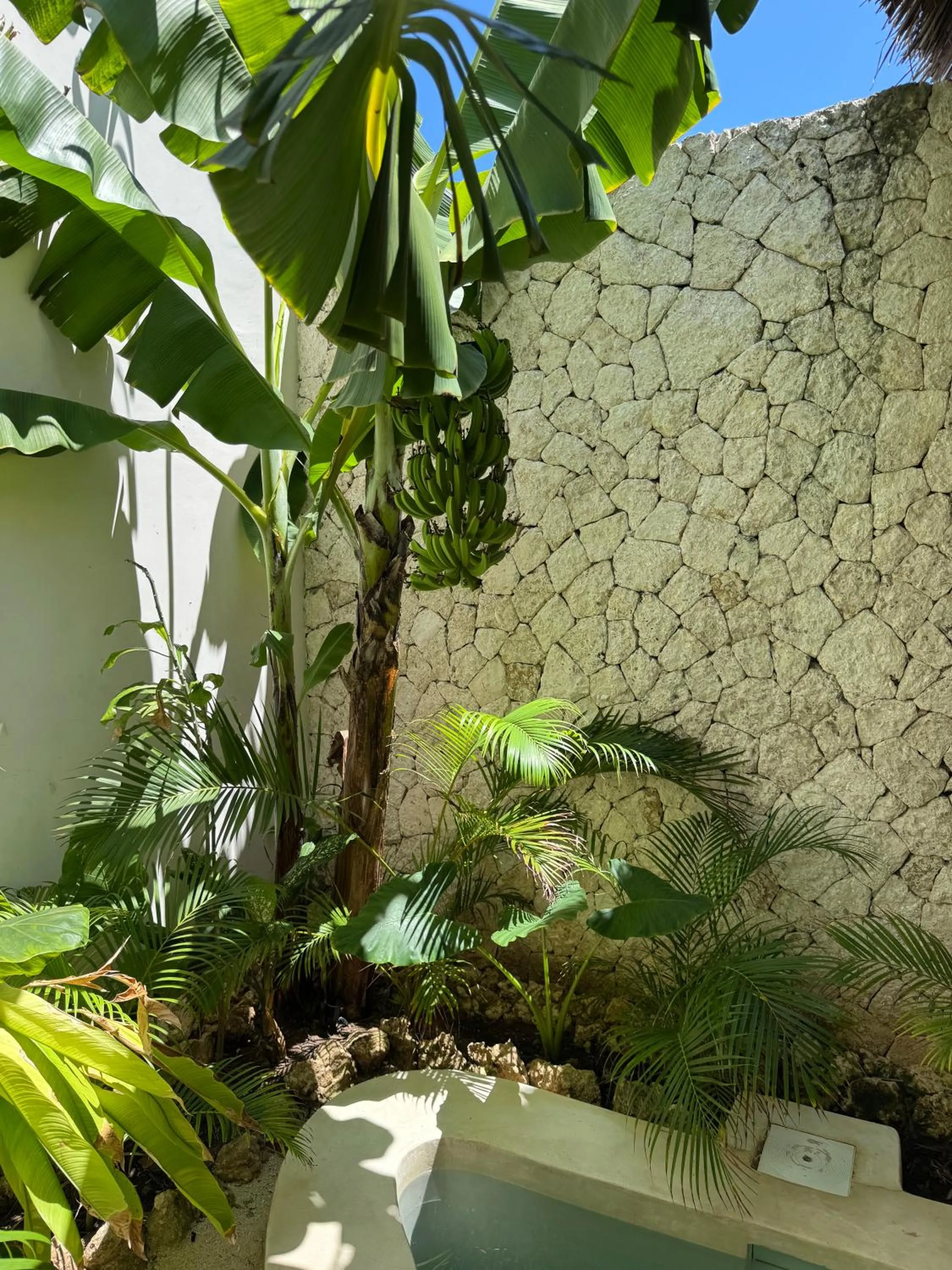 Garden in Kai Zanzibar Hotel and Spa