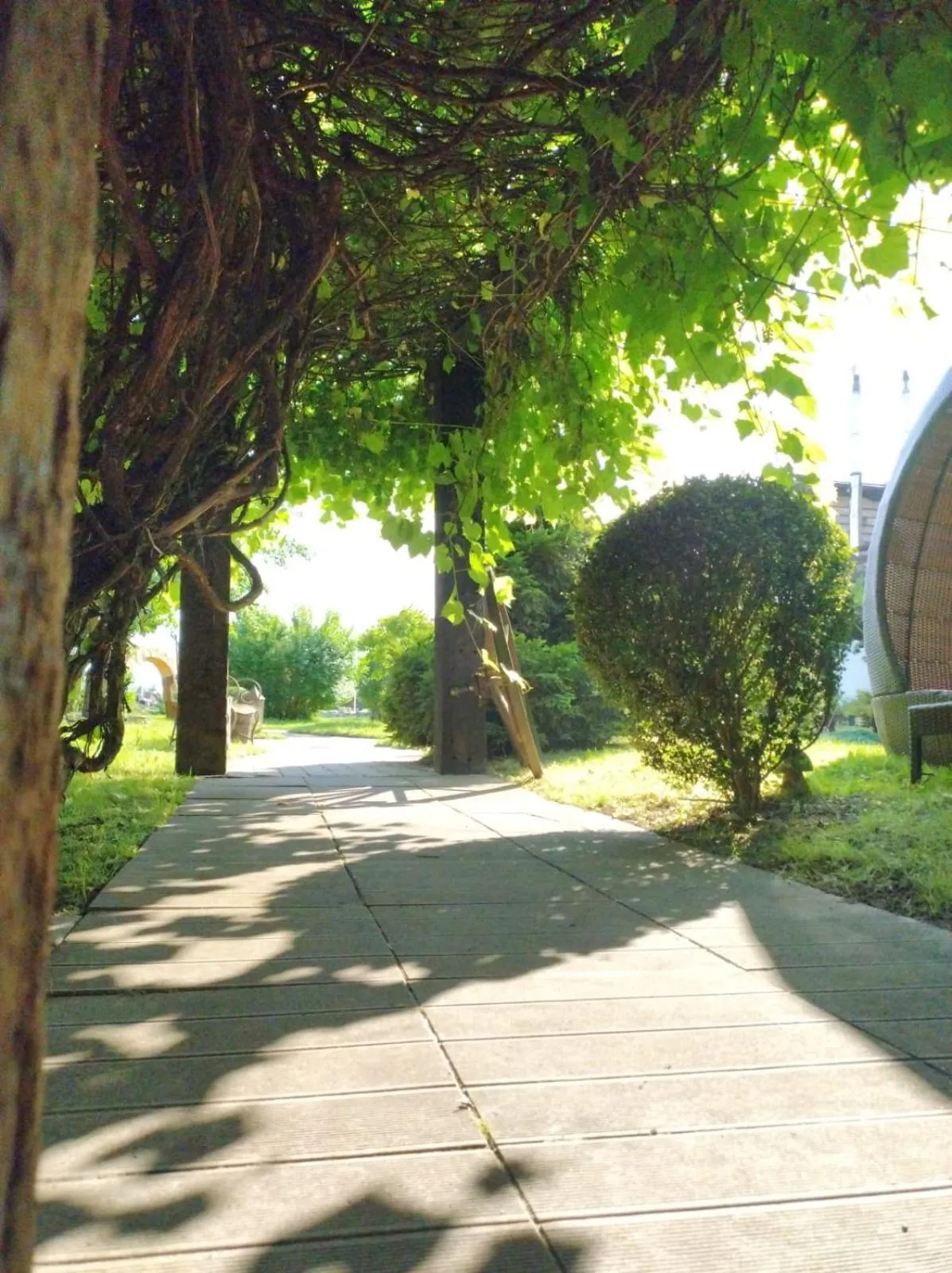 Sommer Residence Hotel&Spa