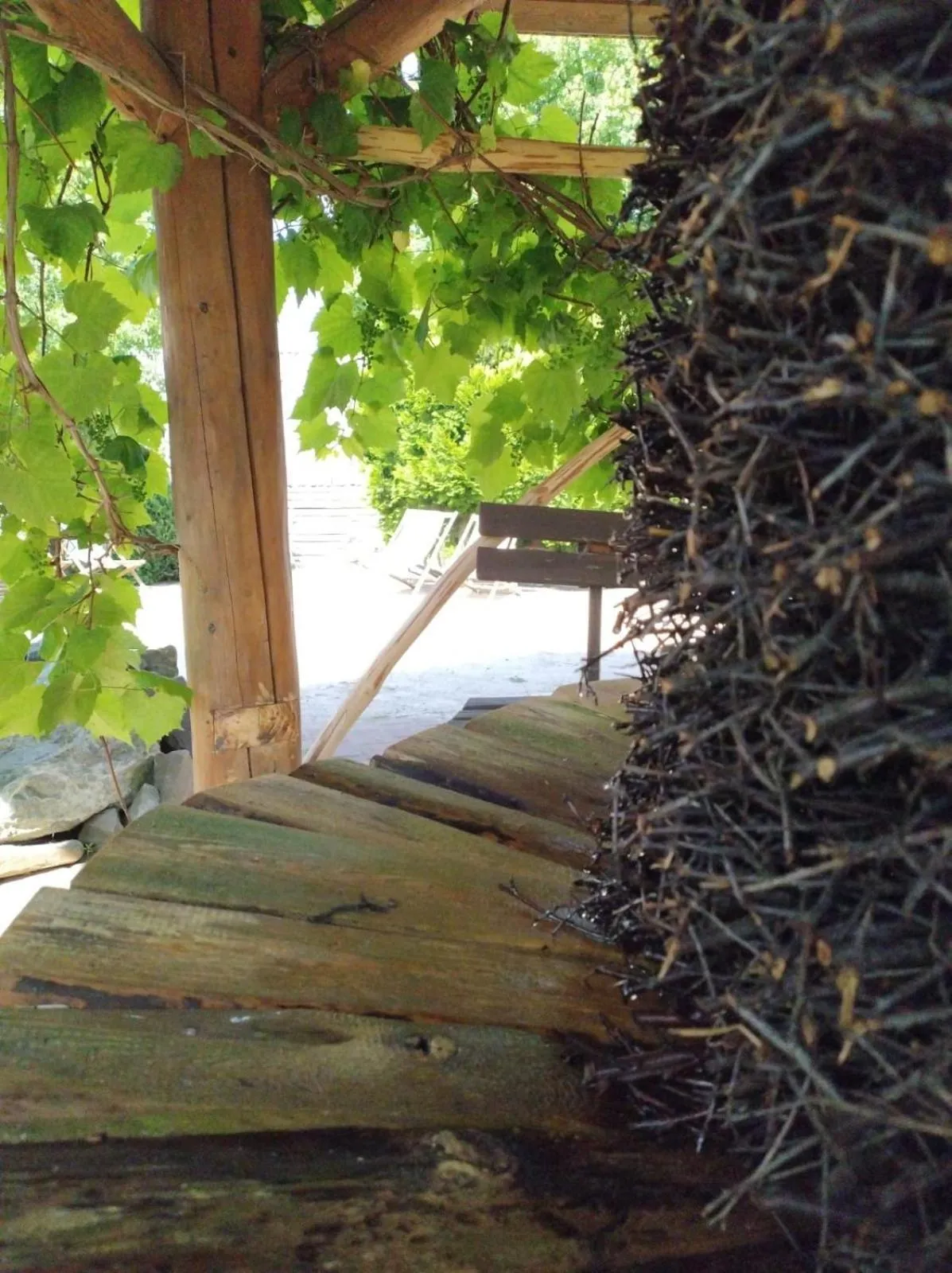 Sommer Residence Hotel&Spa