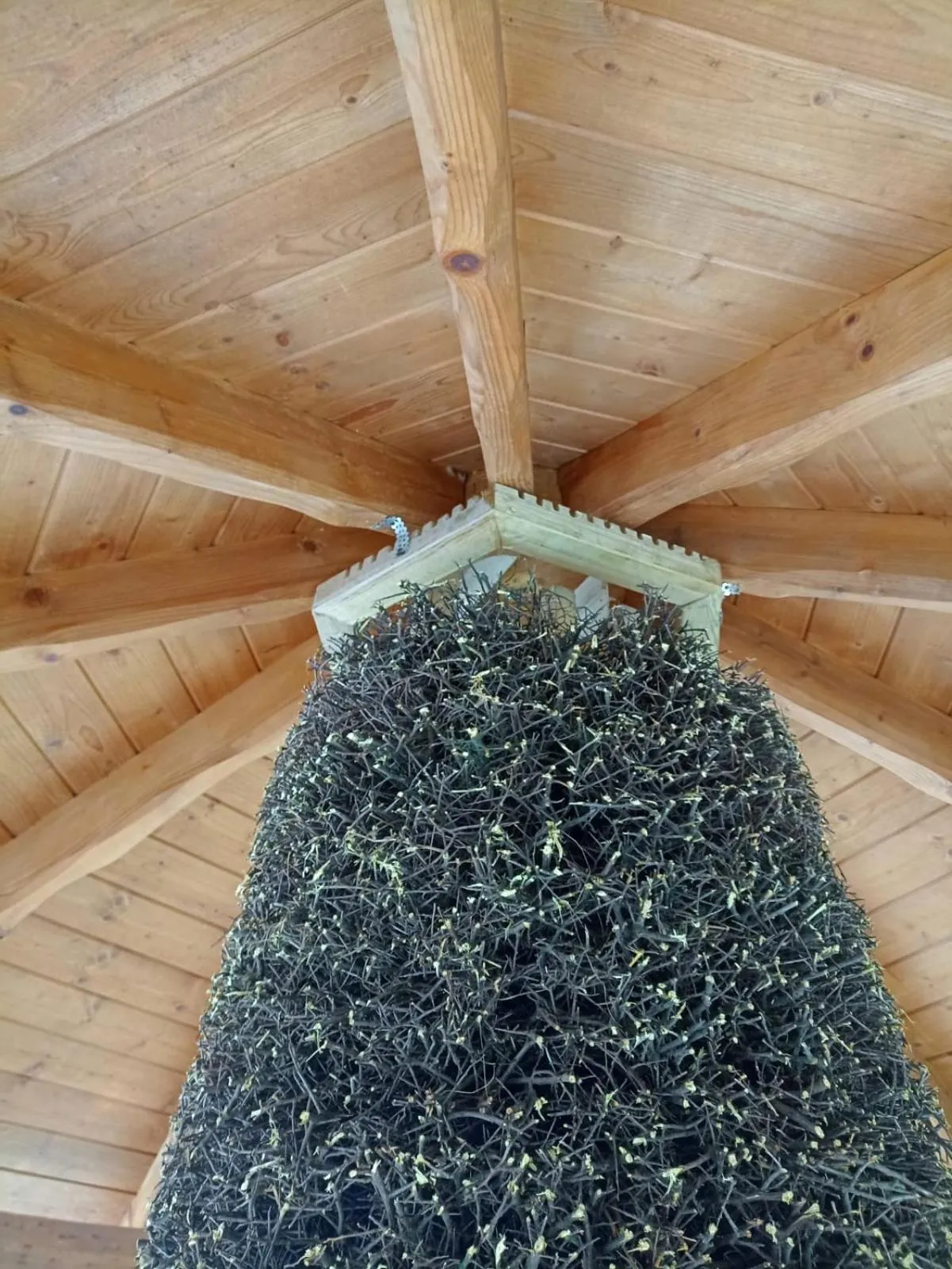 Sommer Residence Hotel&Spa