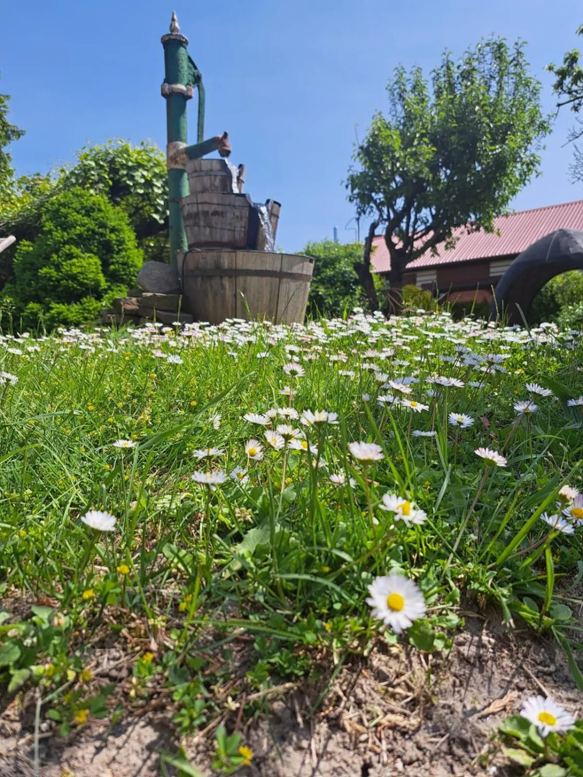 Sommer Residence Hotel&Spa