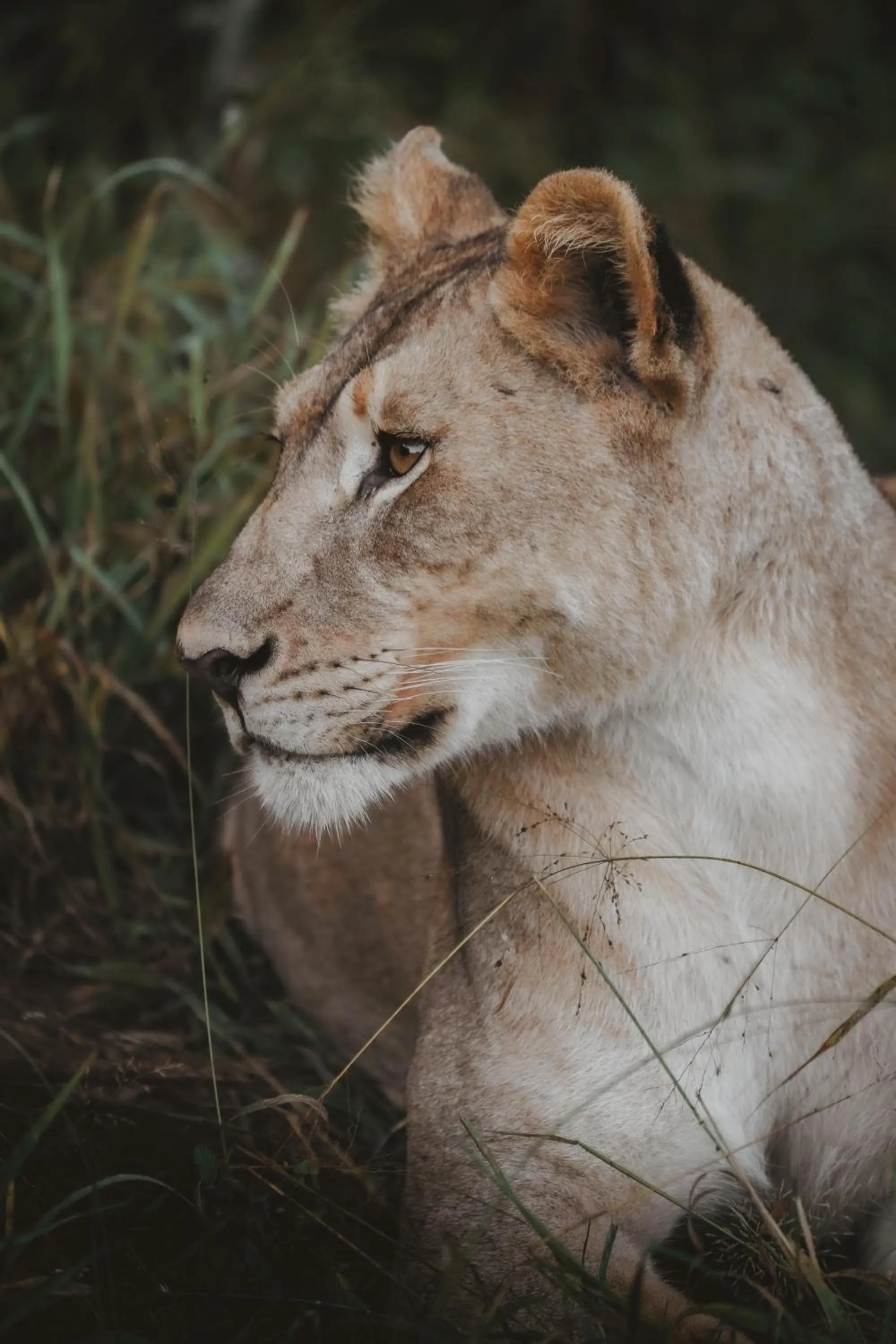 Activities in Rhino River Lodge