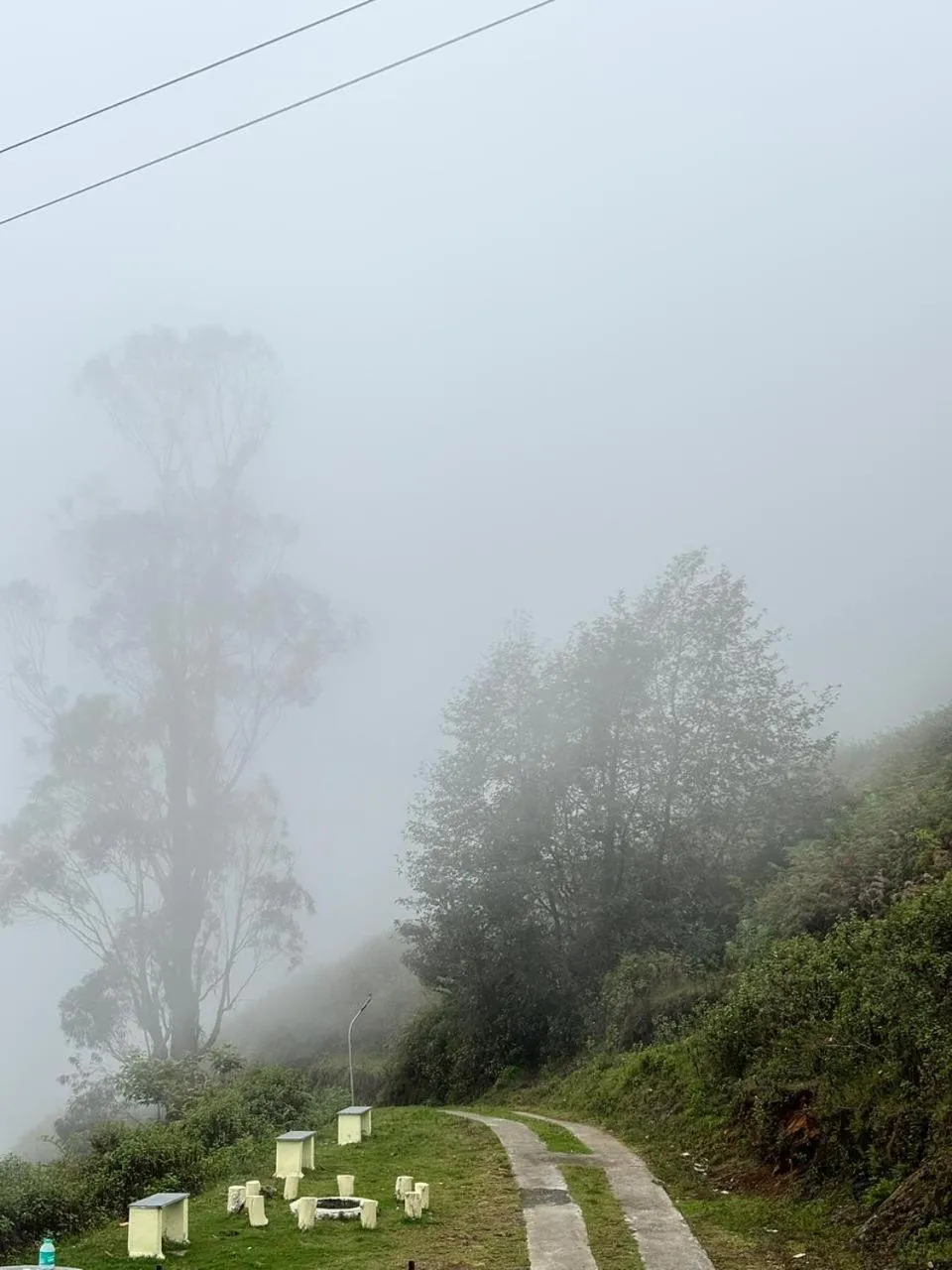 Spring in Kodai Hillscape