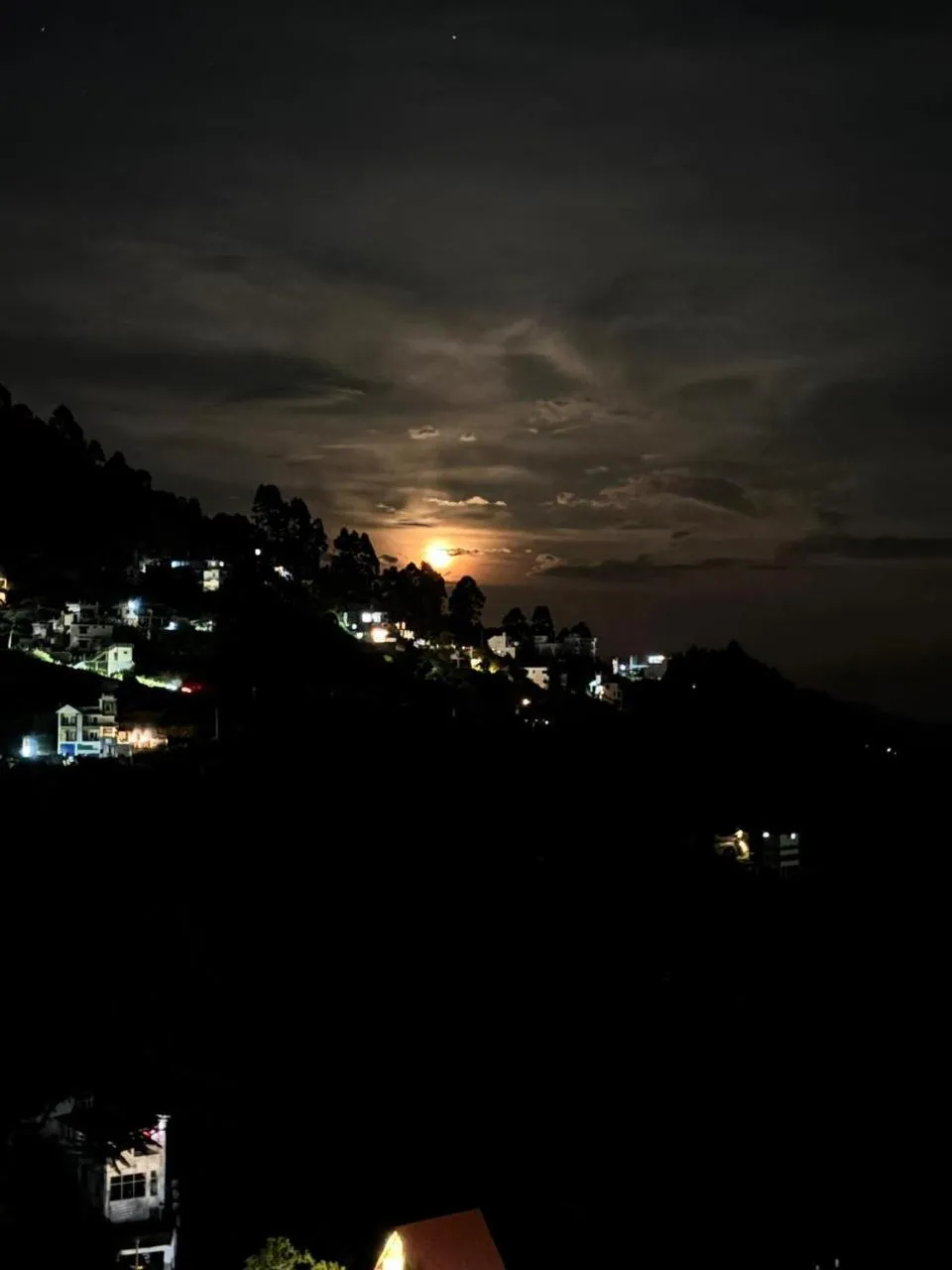 View (from property/room) in Kodai Hillscape