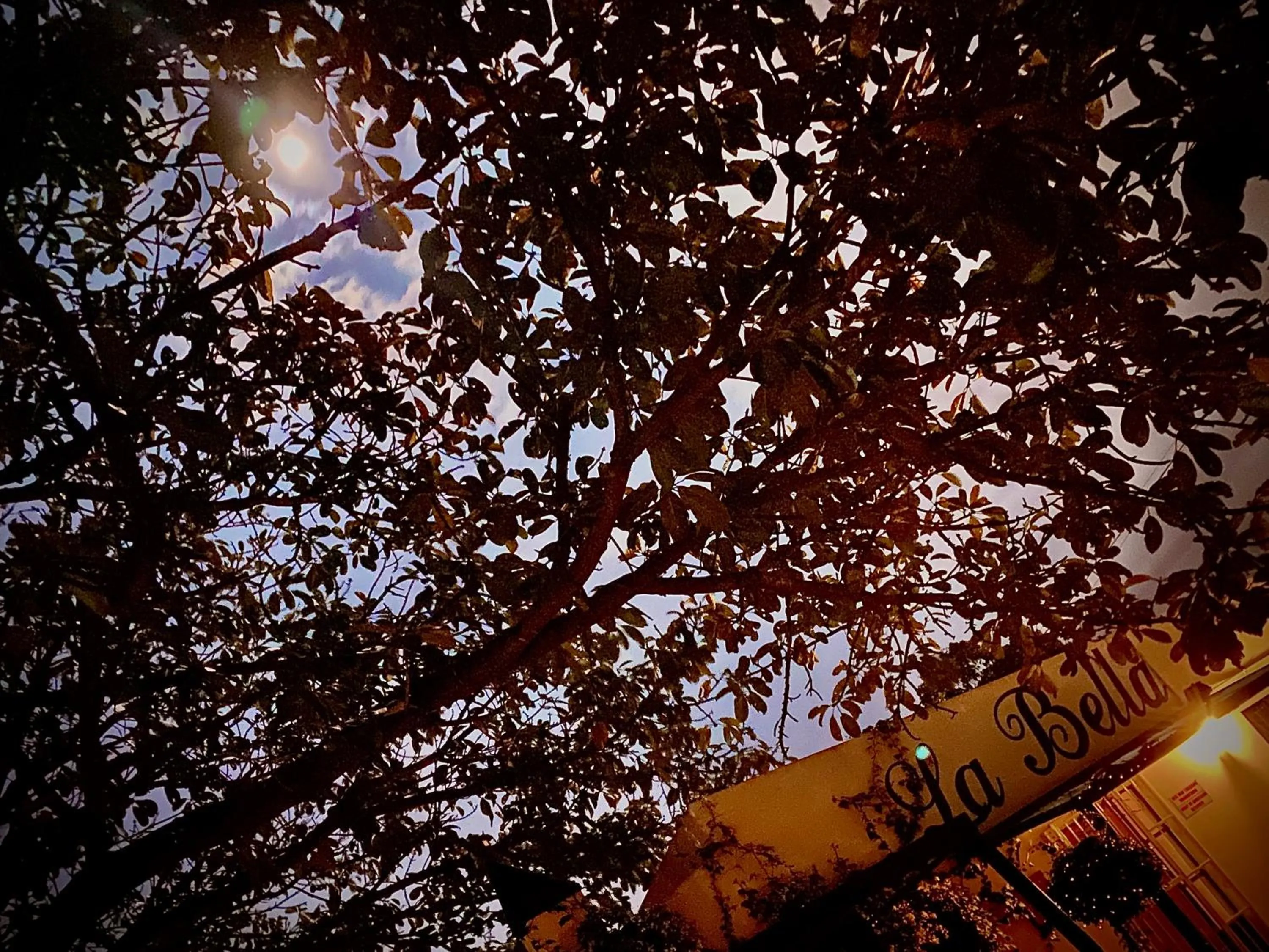 La Bella B&B Under The Fig Tree