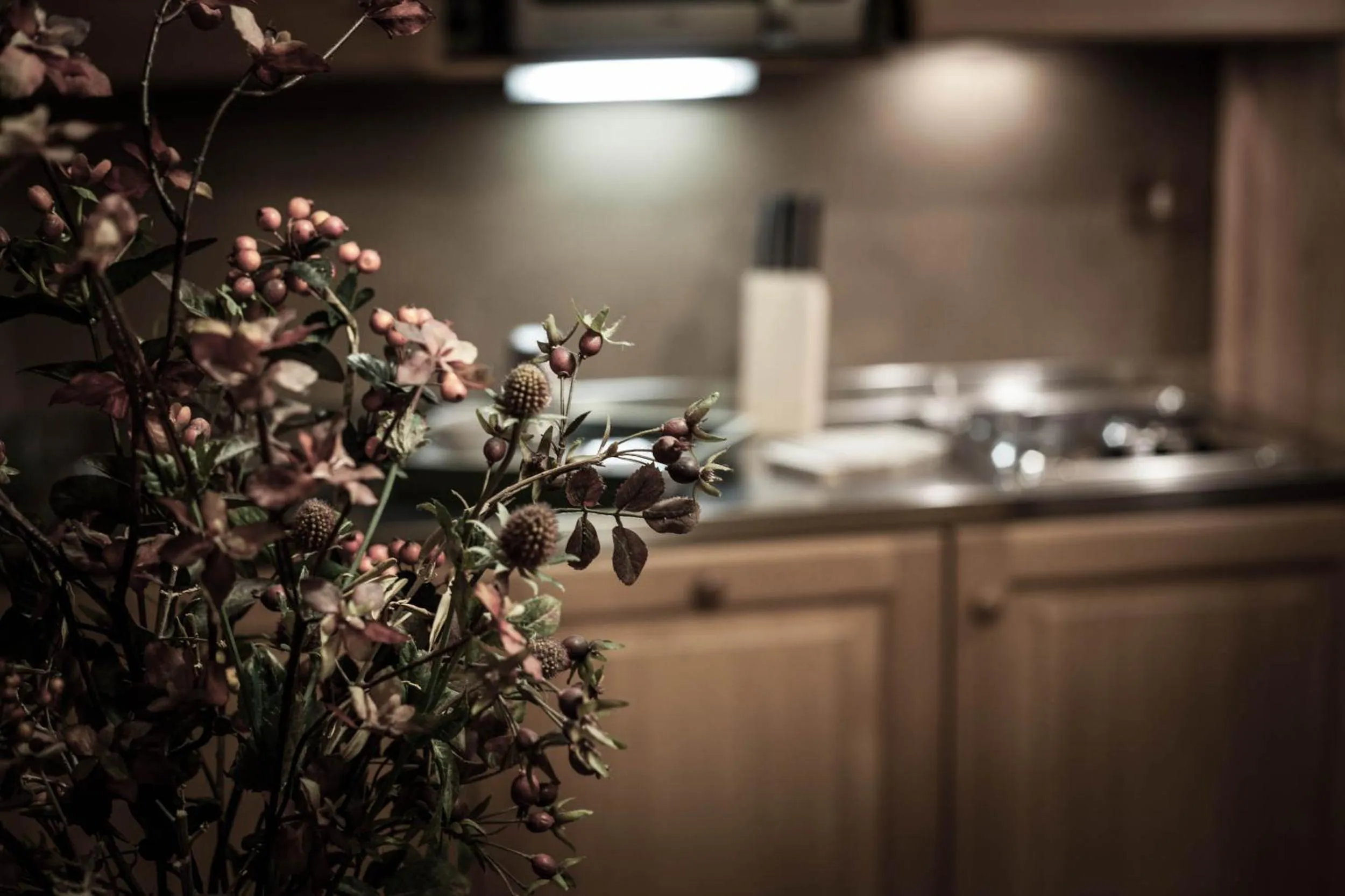 Kitchen or kitchenette in B&B Residence Checrouit