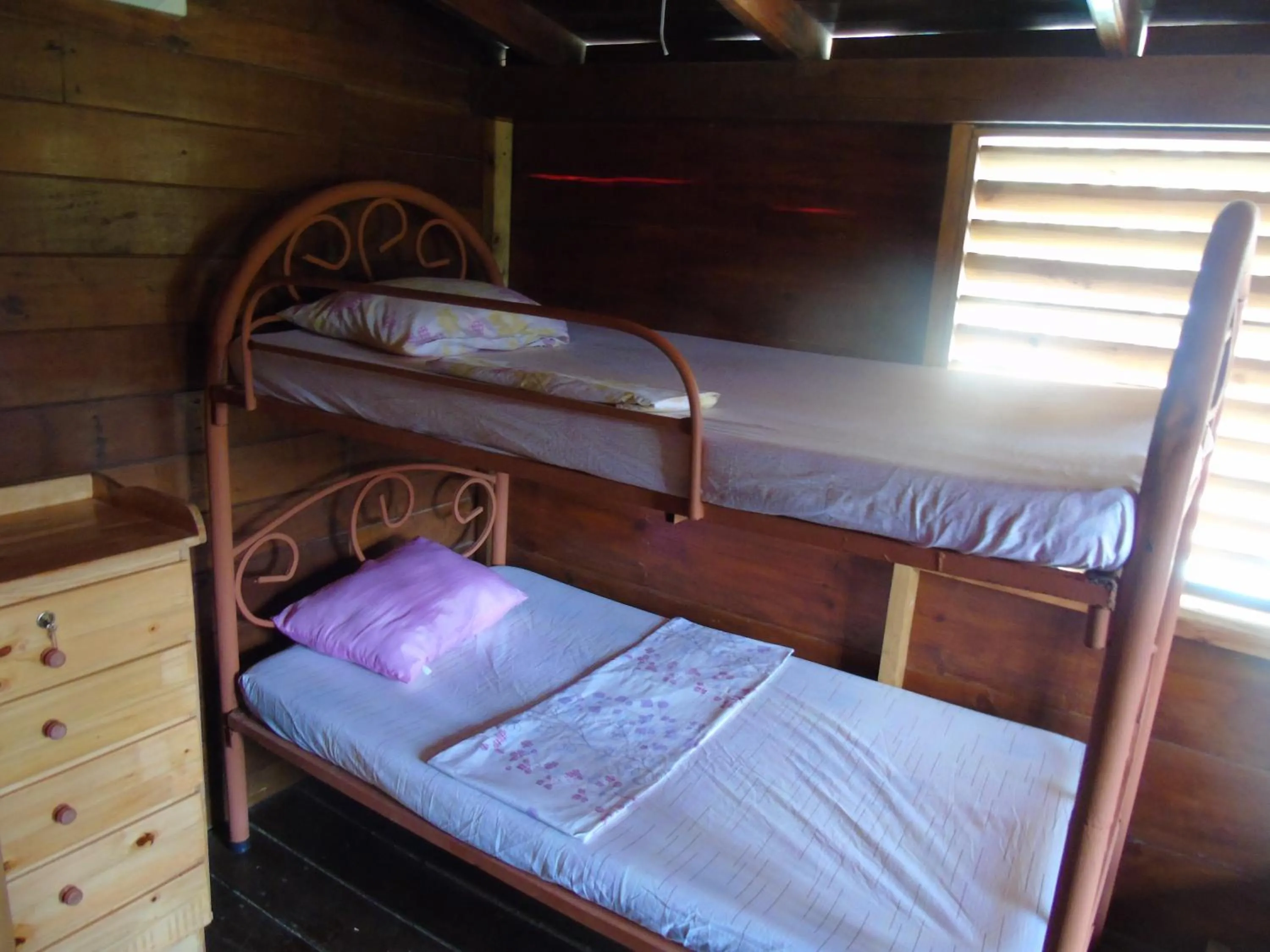 Patio, Bed in Hostal Villas Mexico