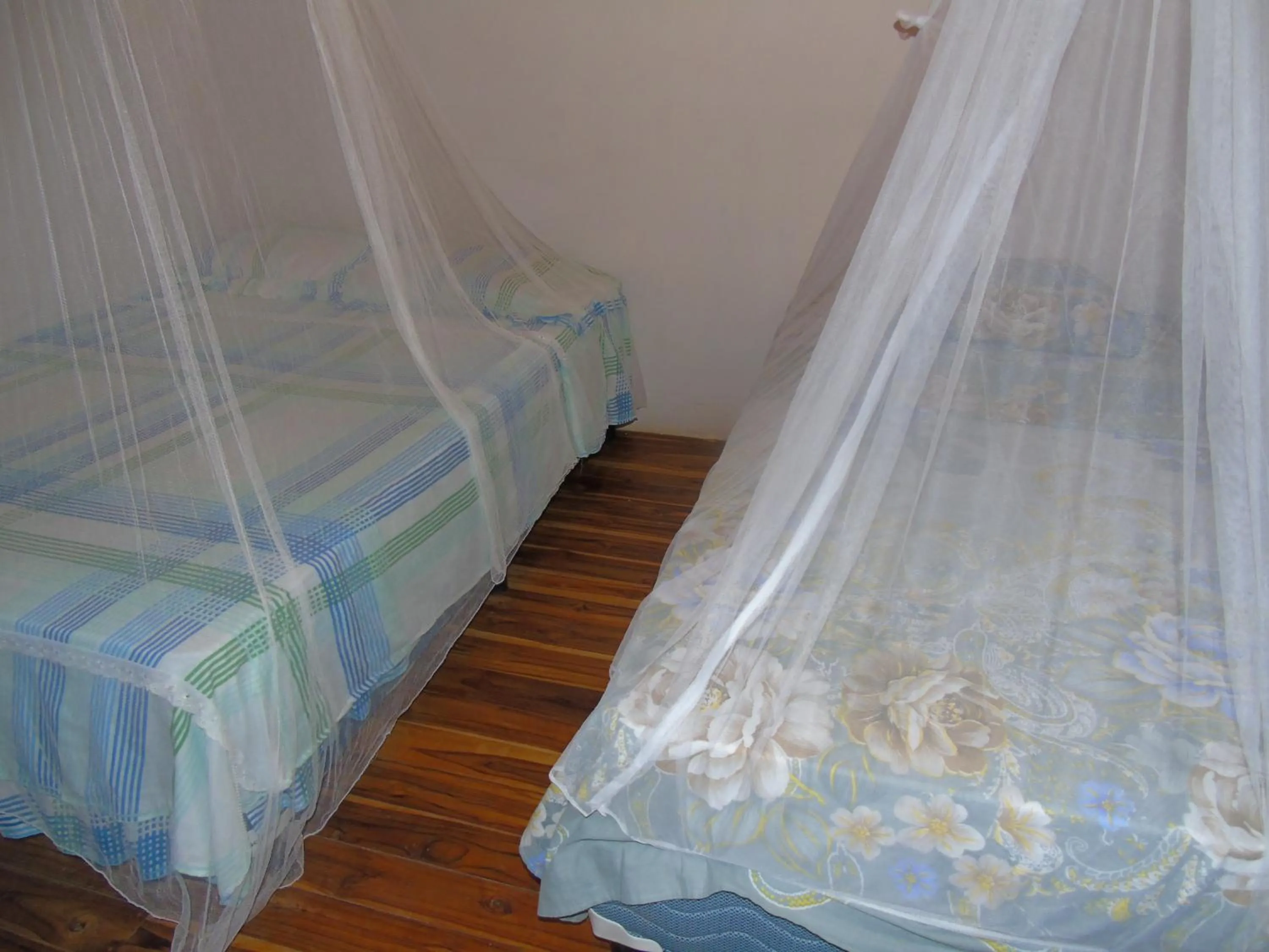 Bed in Hostal Villas Mexico
