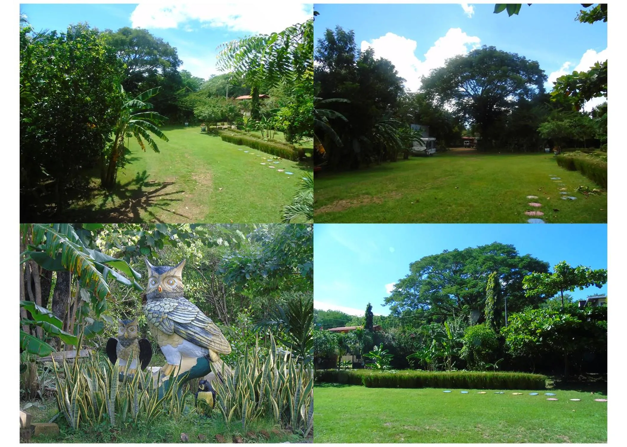 Garden in Hostal Villas Mexico