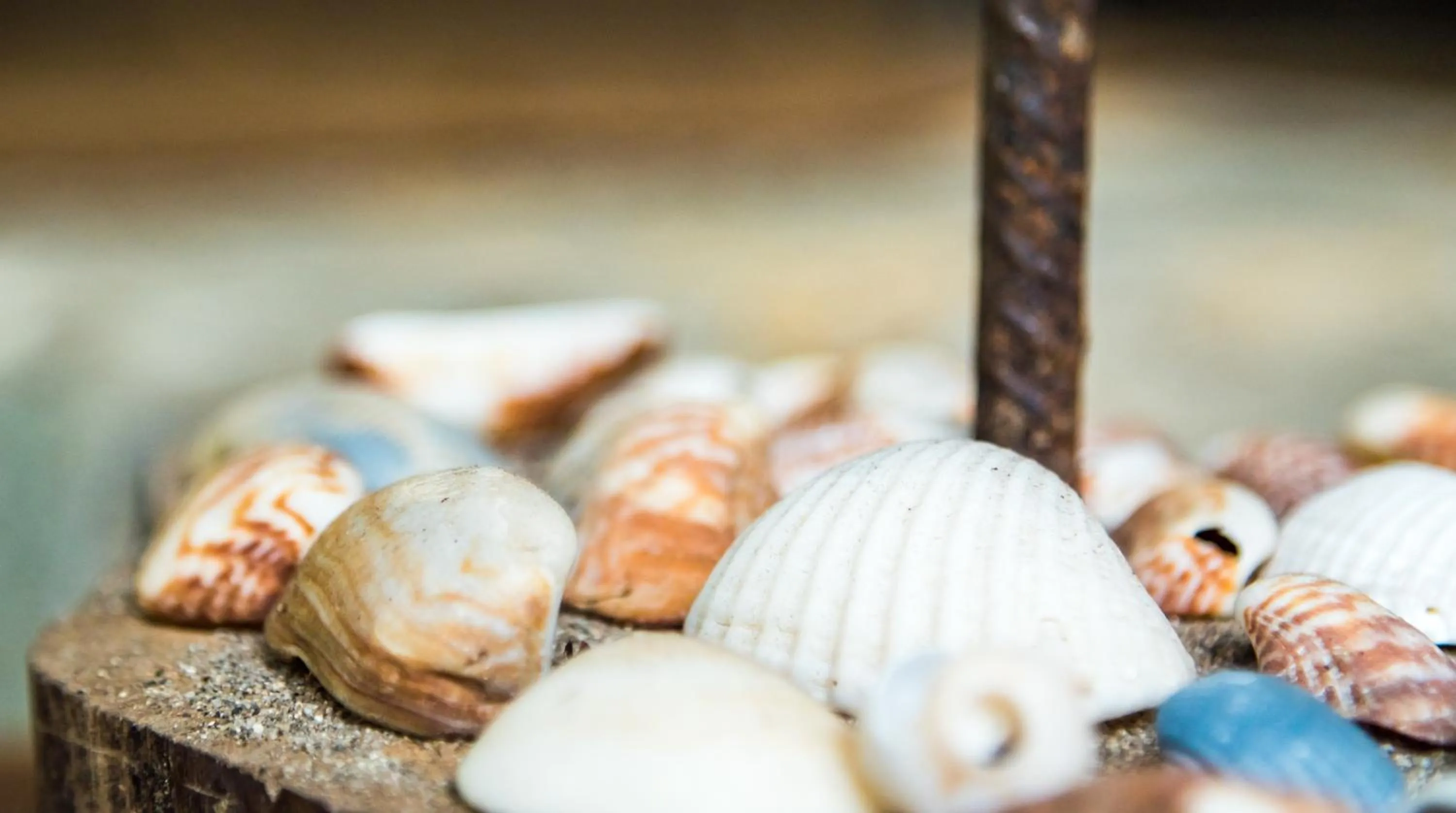 Area and facilities in La Mar de Bien Tayrona
