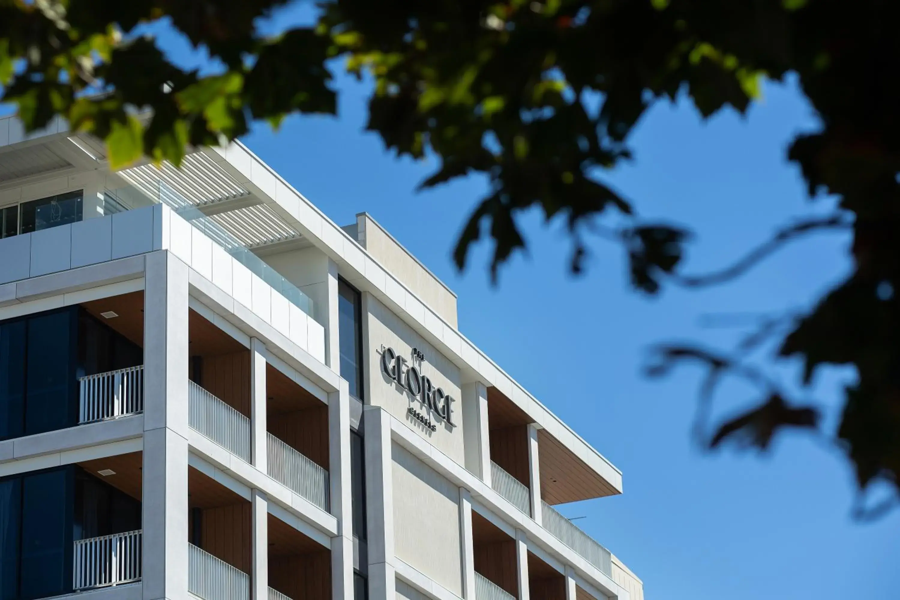 The George The George