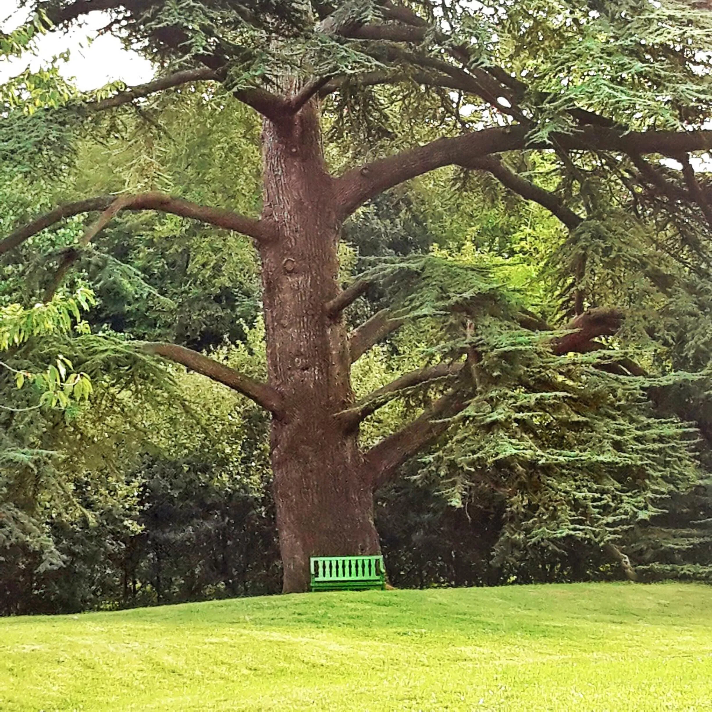 Garden in Château de Chantore
