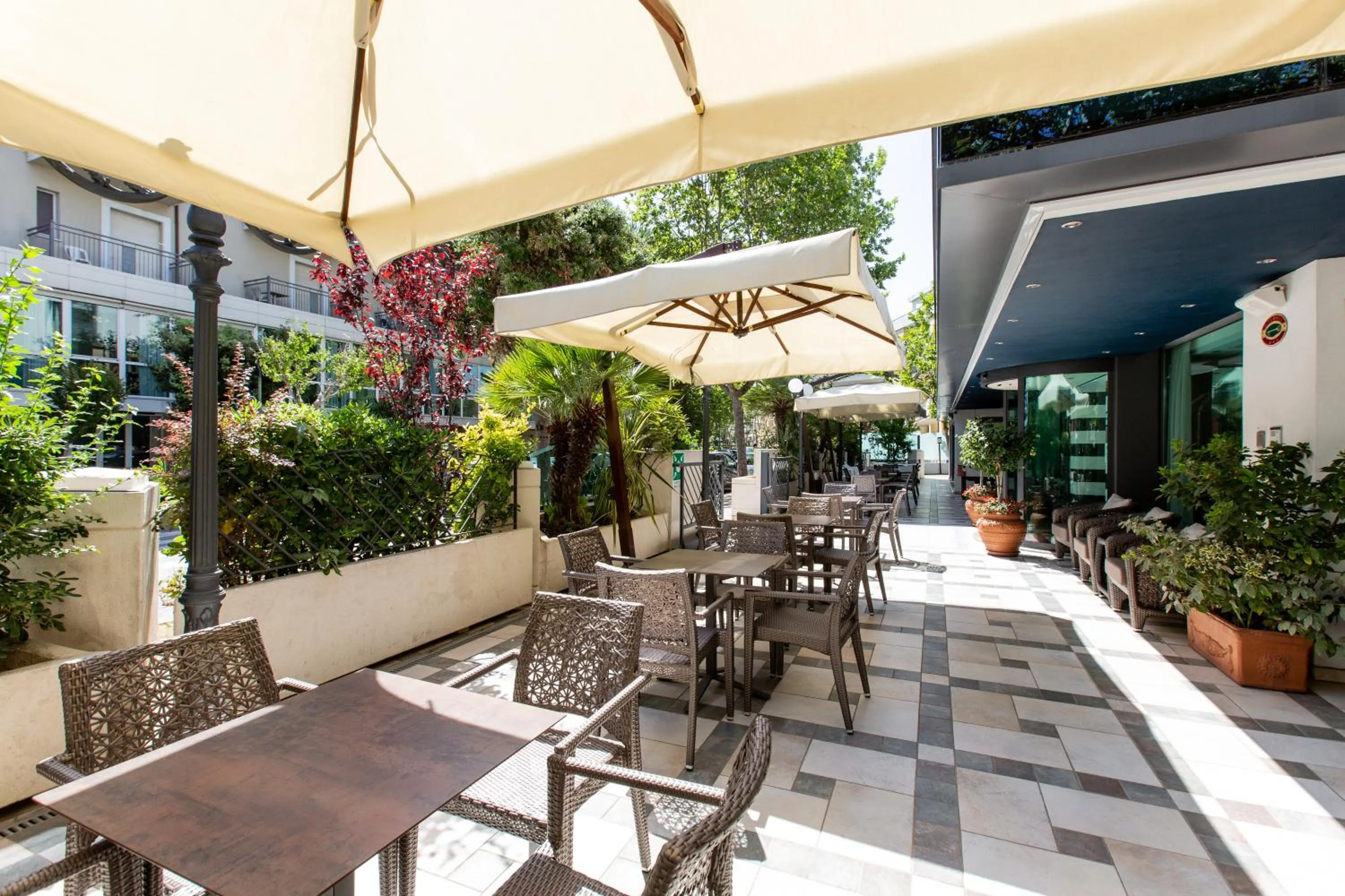 Garden in Hotel Verona