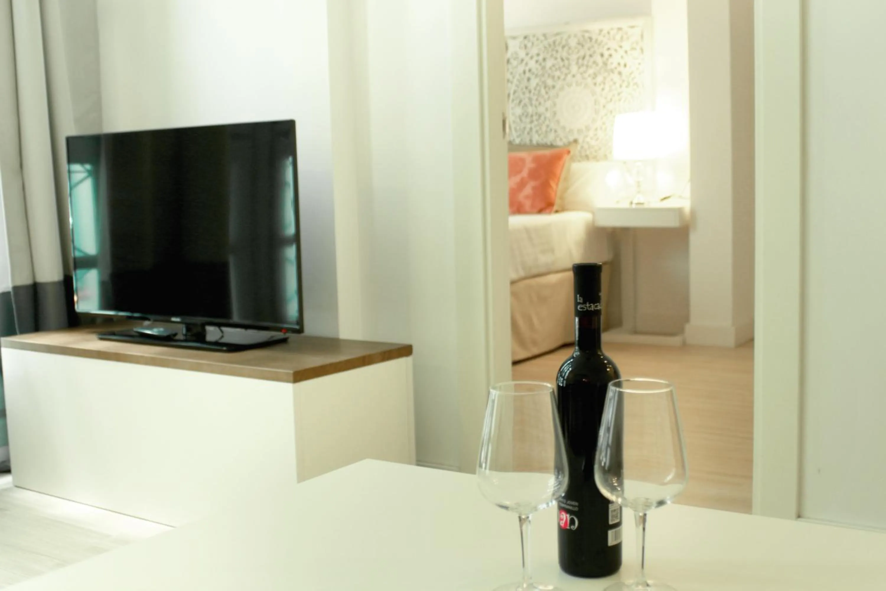 TV and multimedia in Palacio Cabrera - Lillo