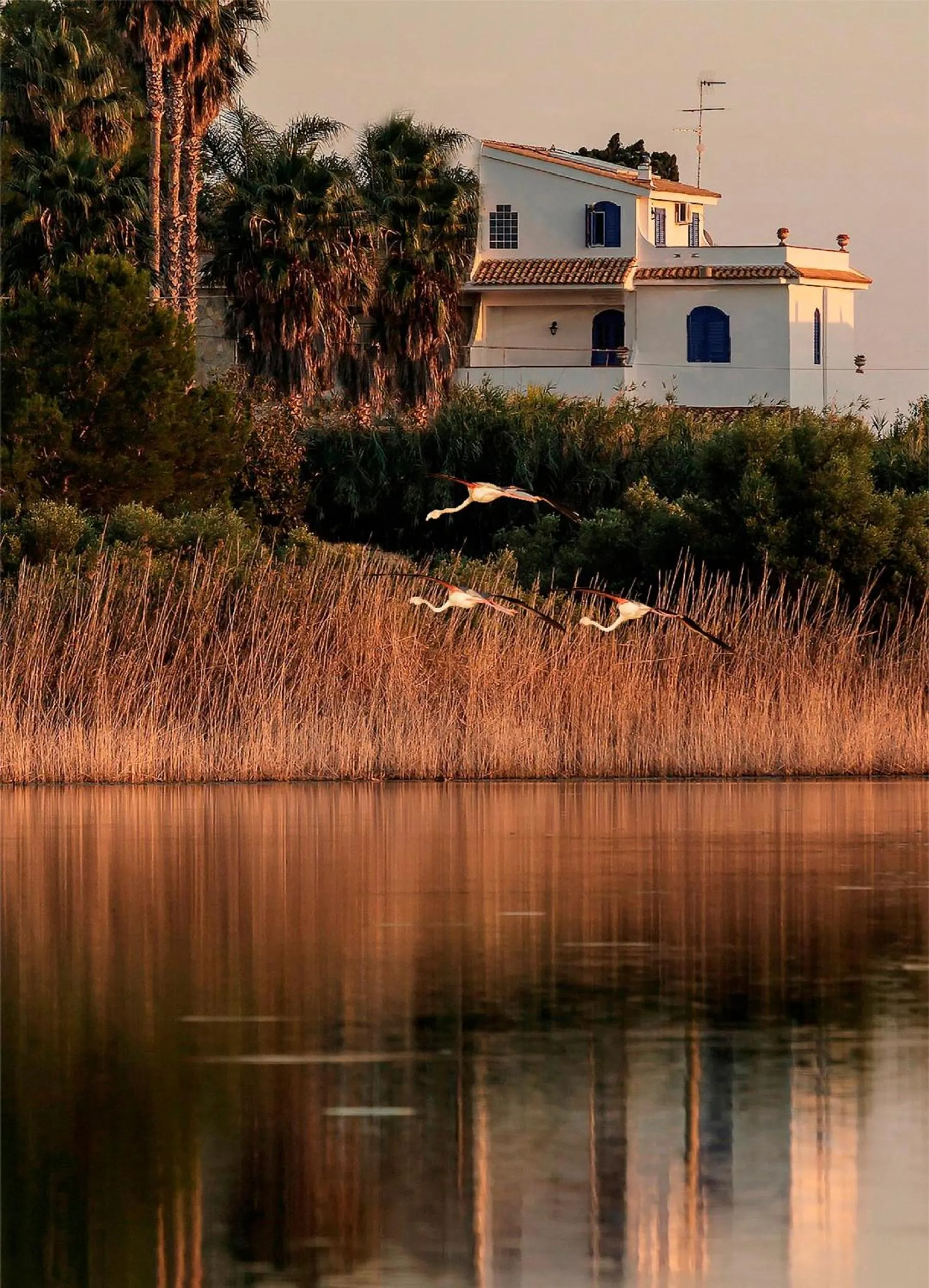 Bird's eye view in B&B Le Saline