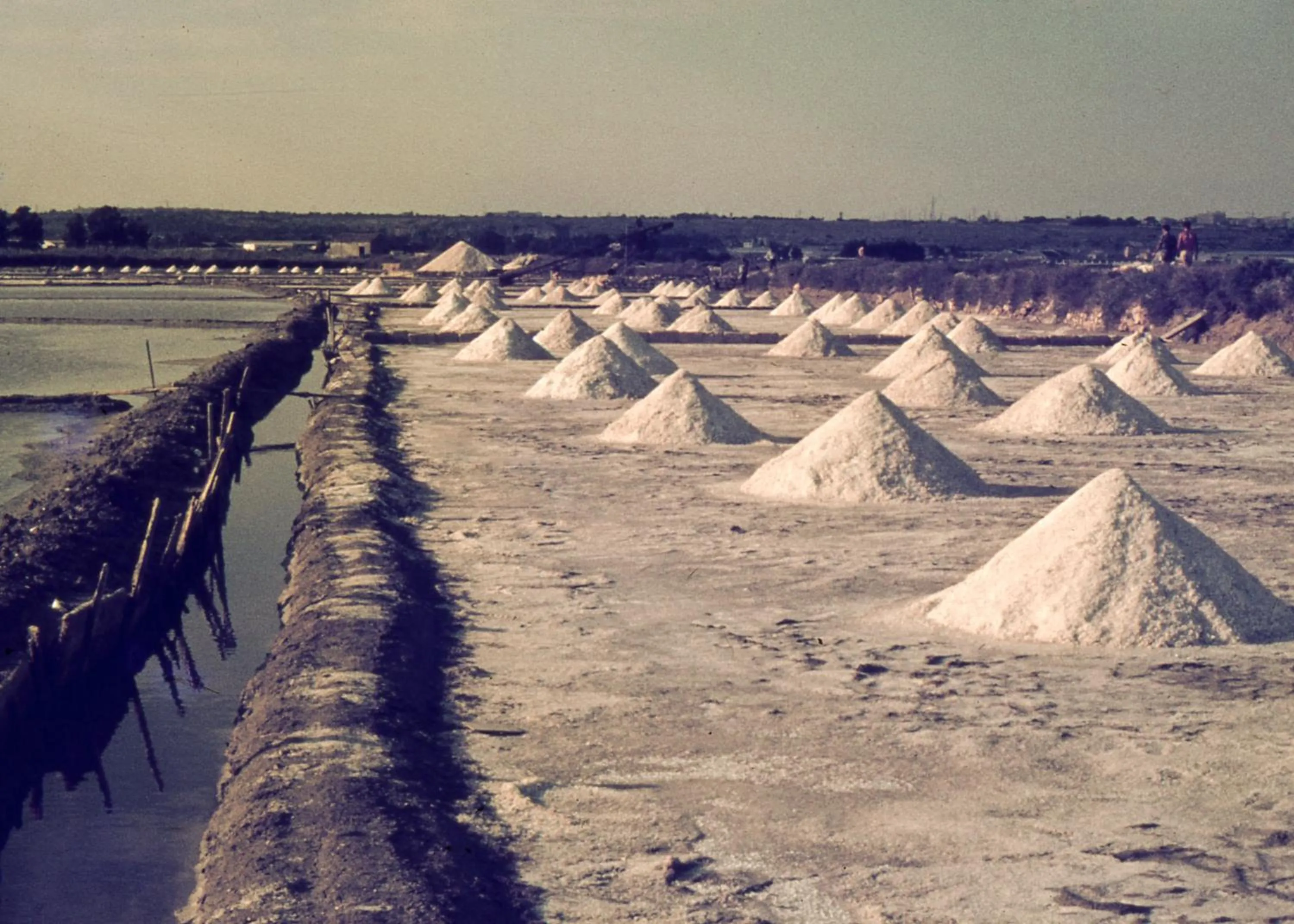 Other in B&B Le Saline