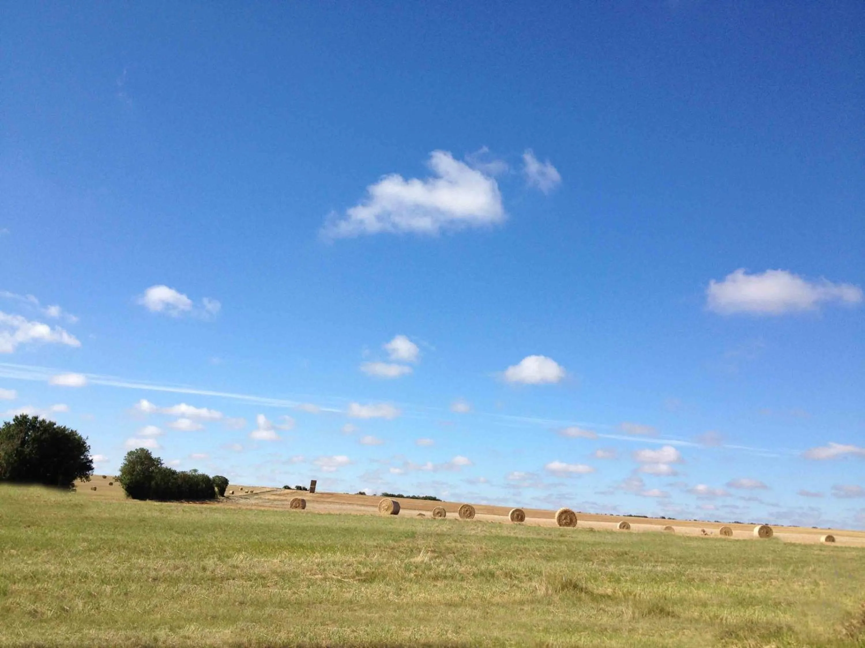 Natural landscape in Accacia Home