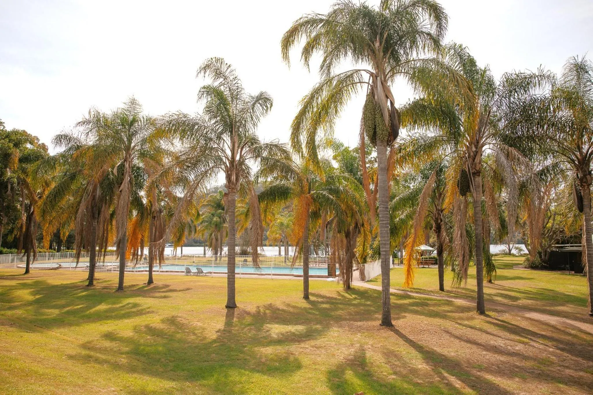Garden view in Wisemans Retreat