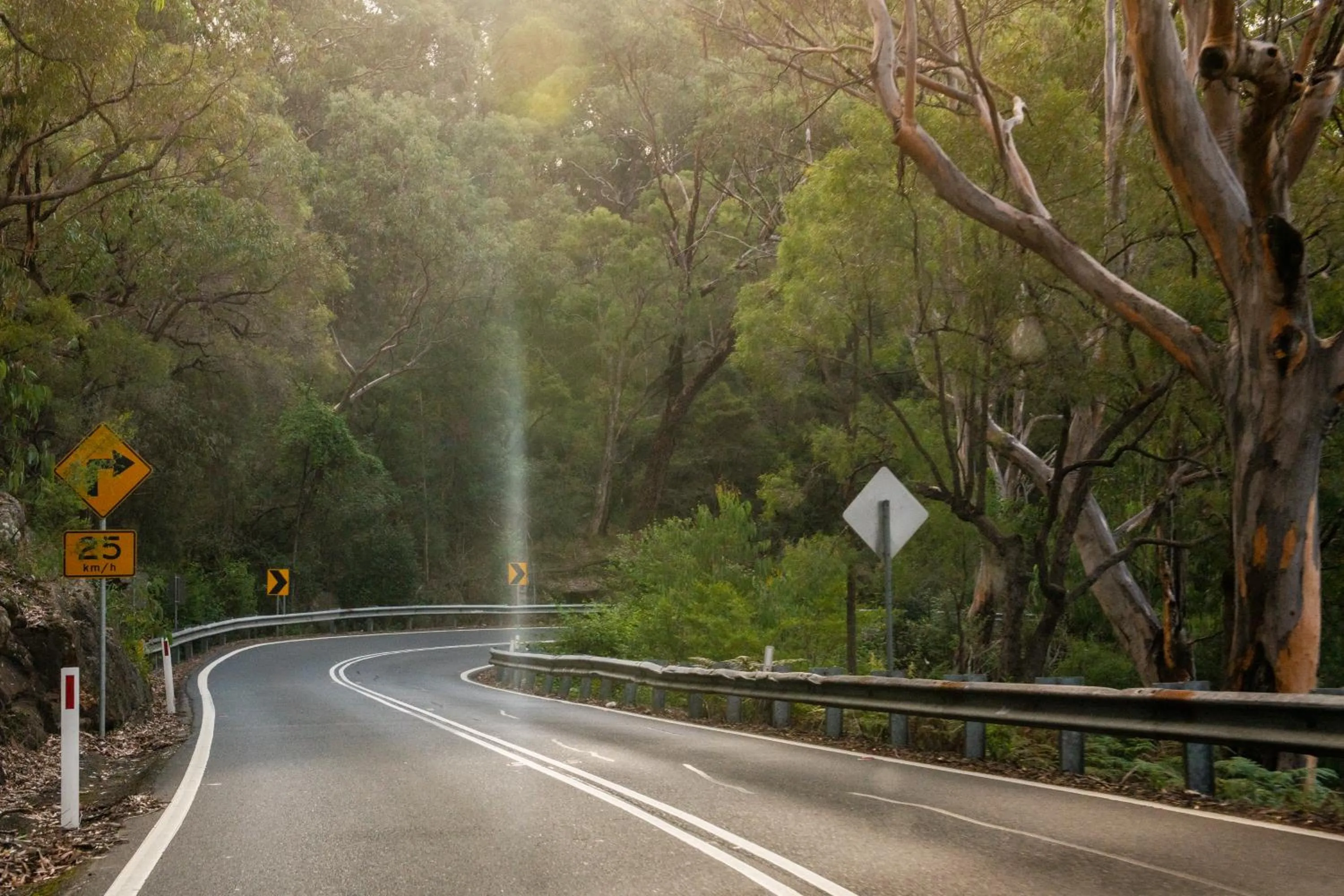 Neighbourhood in Wisemans Retreat
