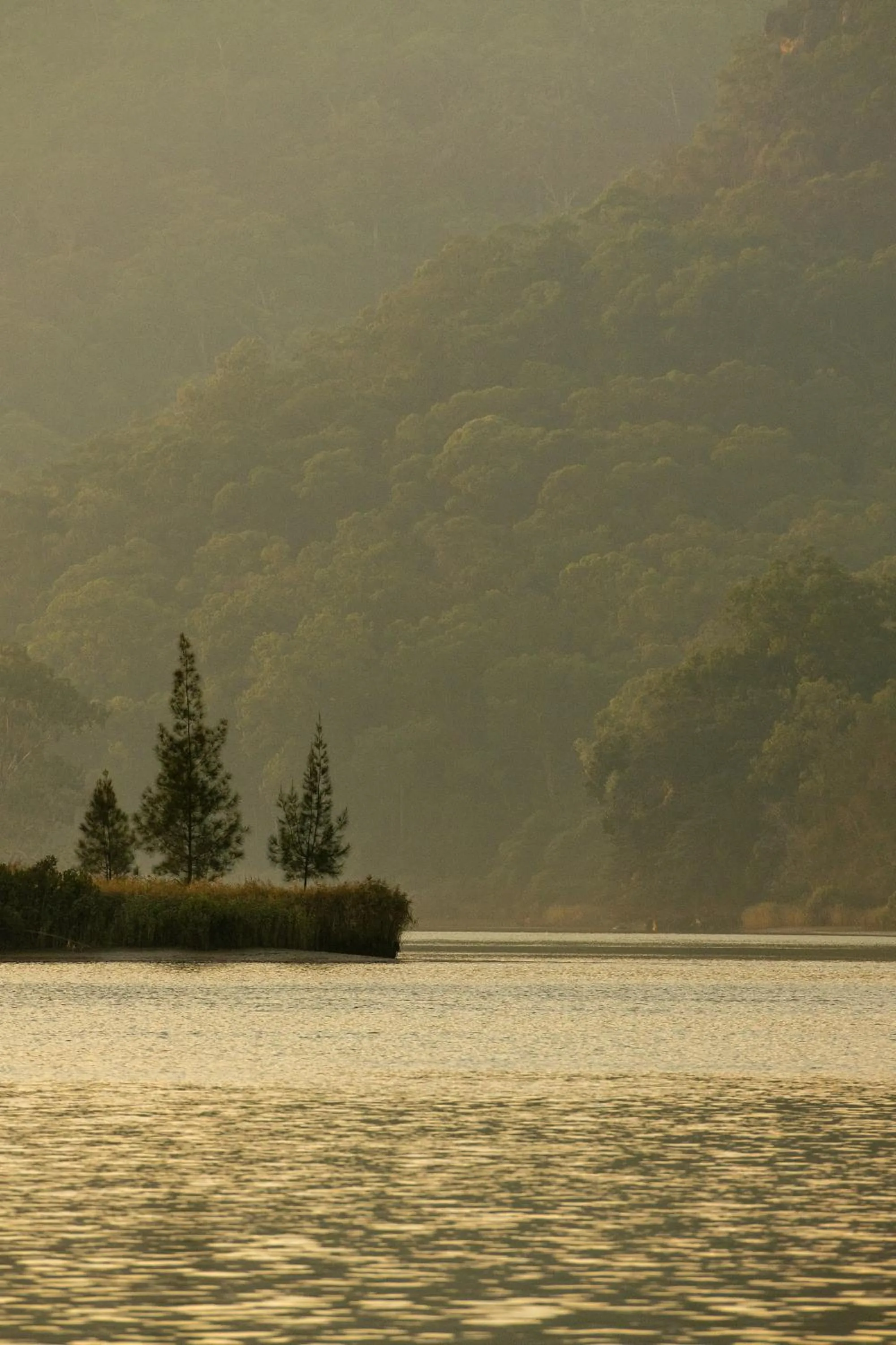 River view in Wisemans Retreat
