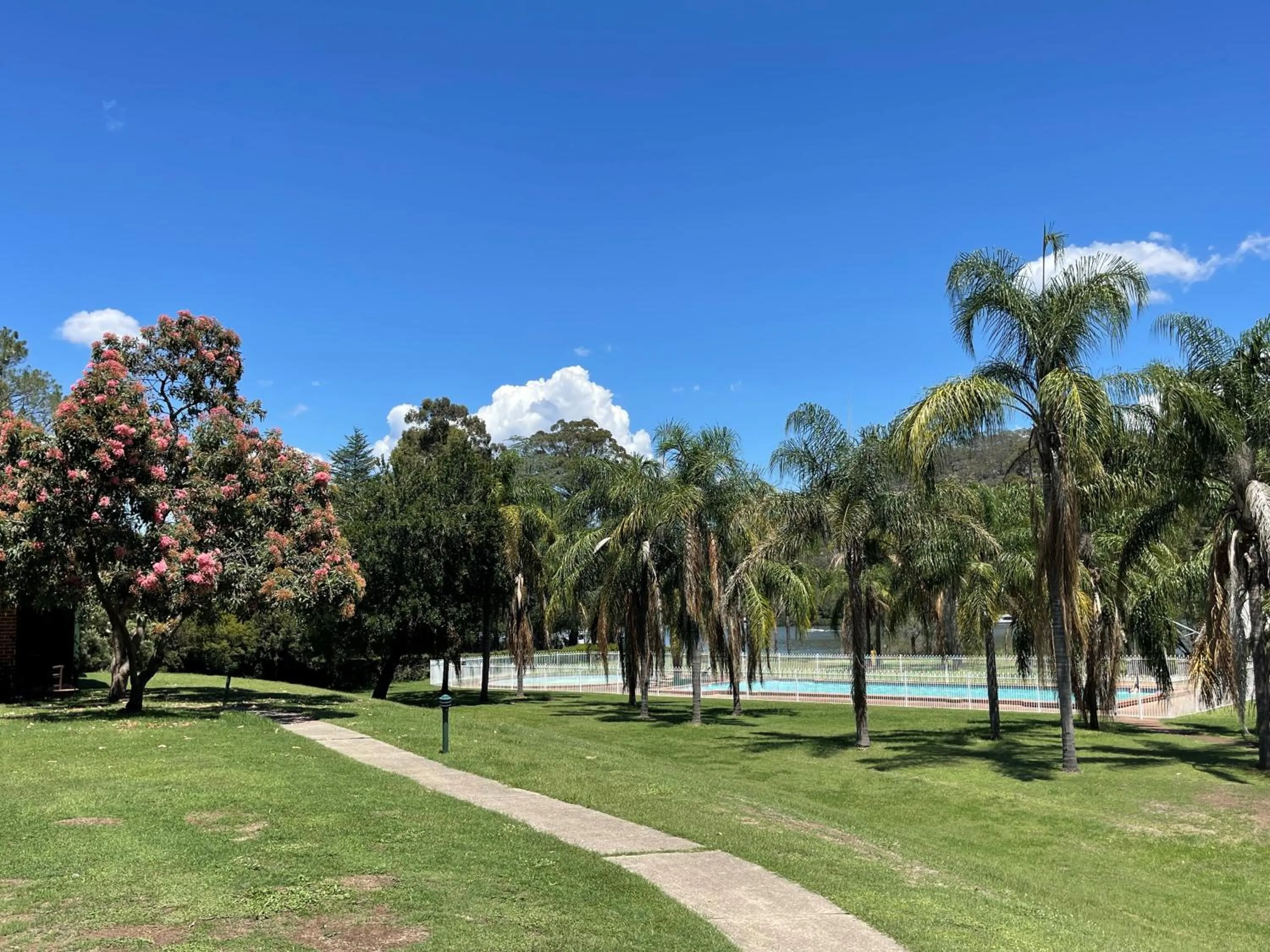Swimming pool in Wisemans Retreat