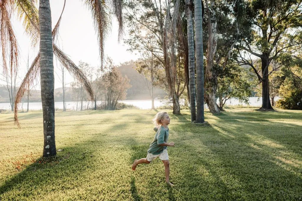 Garden view in Wisemans Retreat