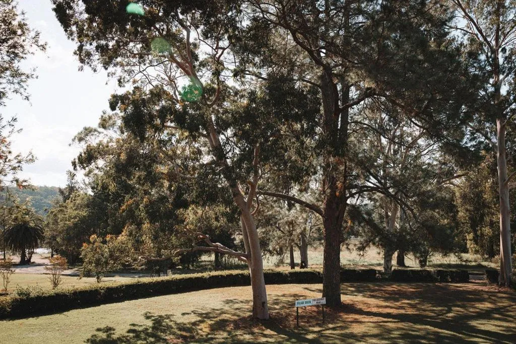 Natural landscape in Wisemans Retreat