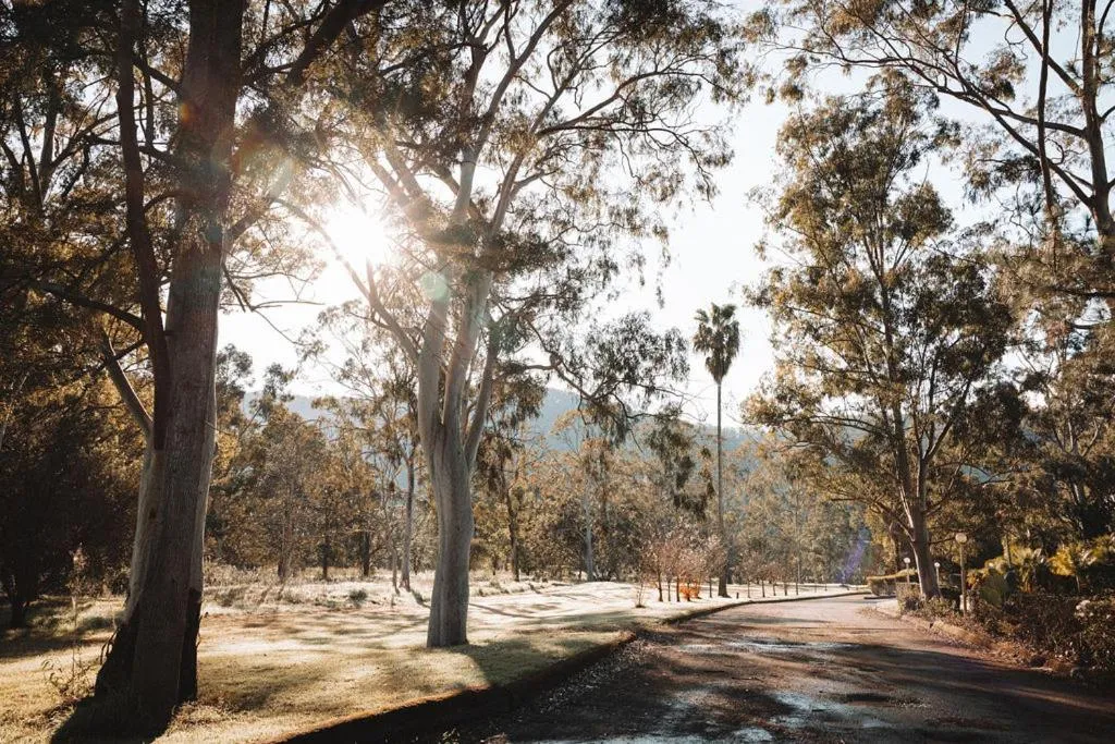 Natural landscape in Wisemans Retreat