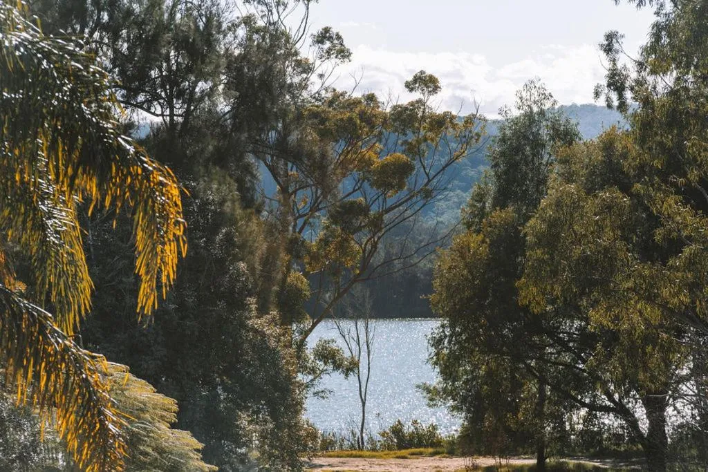 River view in Wisemans Retreat