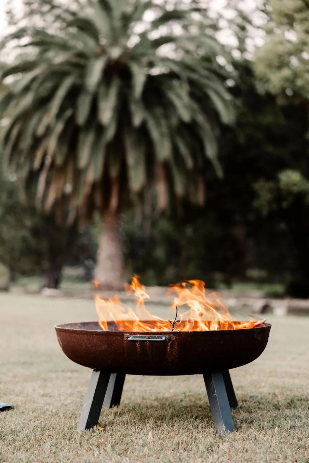 flat iron in Wisemans Retreat