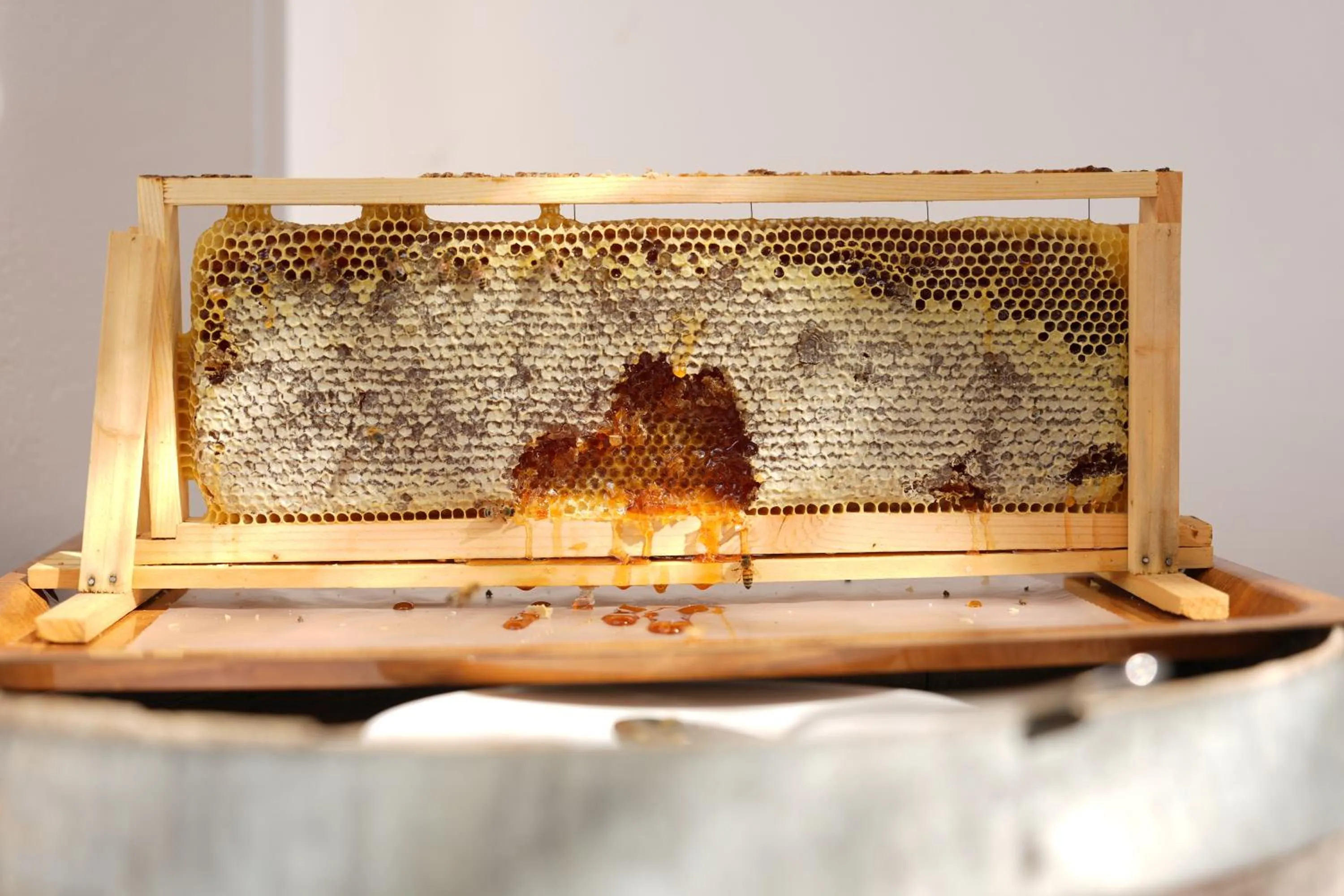 Breakfast in Tenuta del Barco WineRestaurant and Hospitality